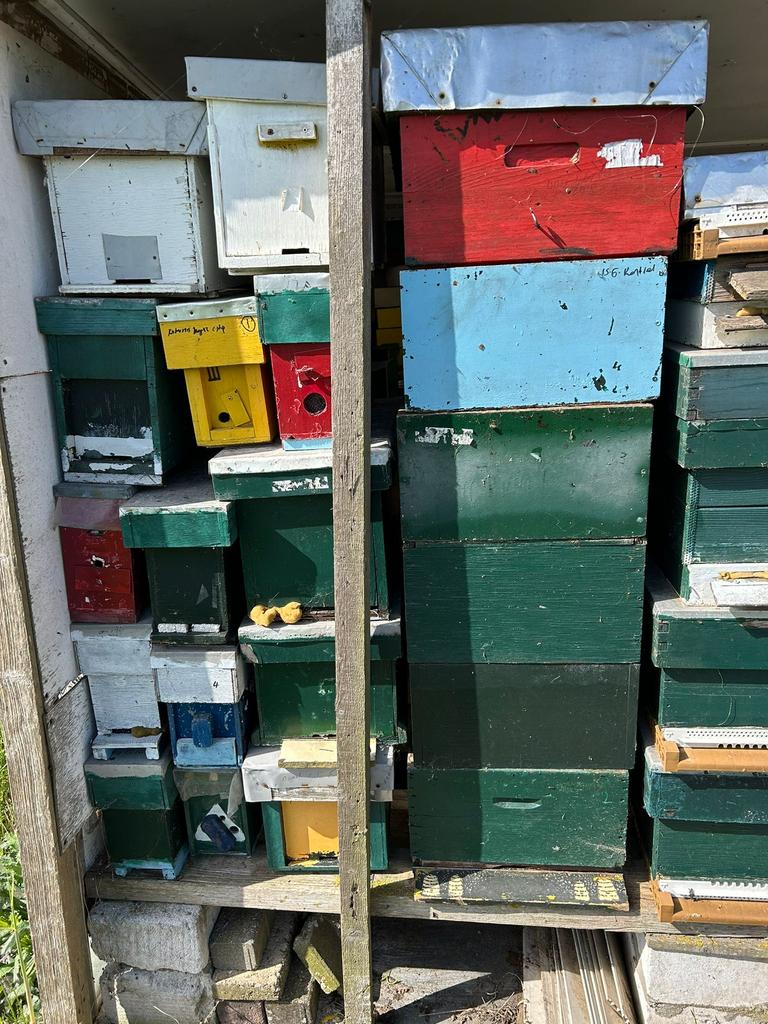 Te koop spaarkasten, Dieren en Toebehoren, Bijen