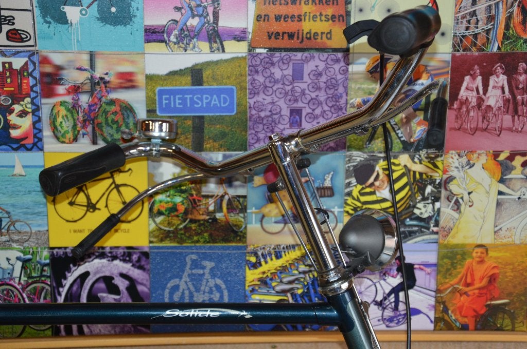 Bijzondere Gazelle fietsen, Ophalen of Verzenden, Gazelle