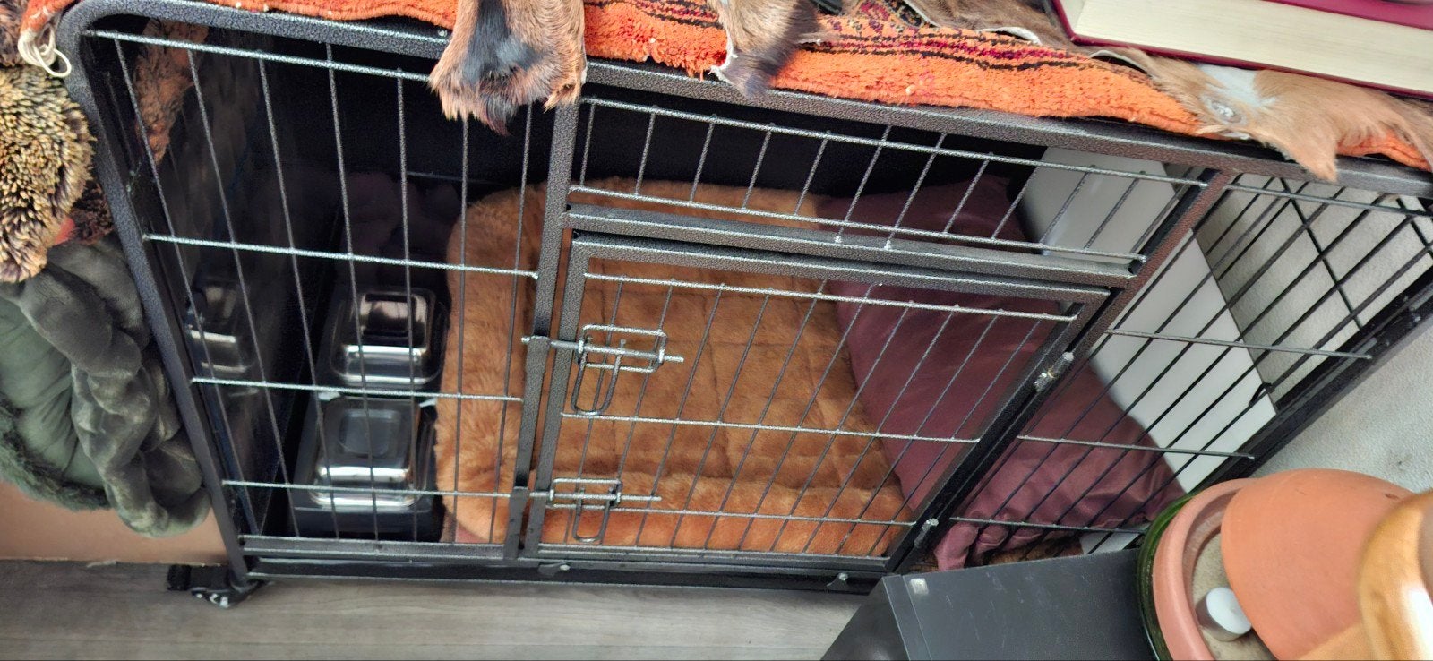 Stevige Hondenkennel., Dieren en Toebehoren, Ophalen, 110 cm of meer, 100 cm of meer