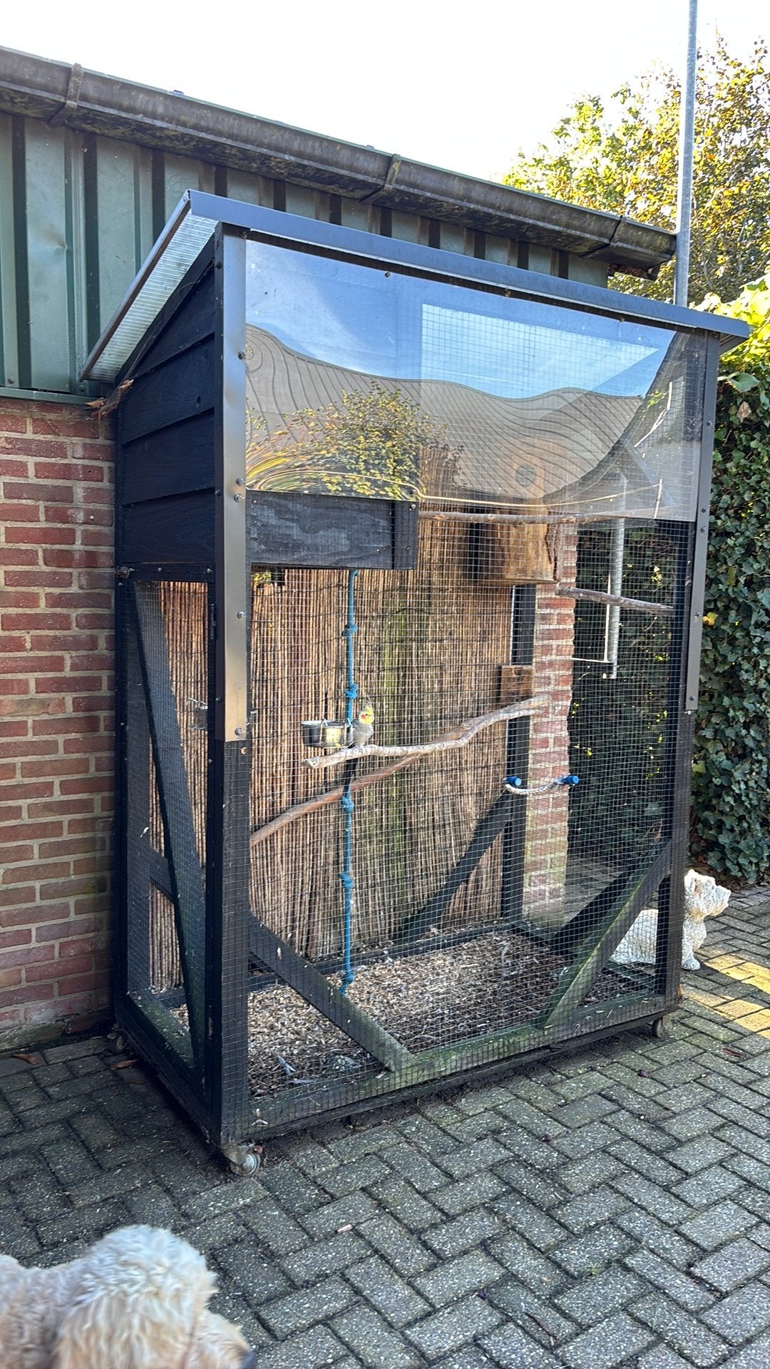 Voliere met parkiet, Dieren en Toebehoren, Ophalen, Gebruikt, Hout, Volière