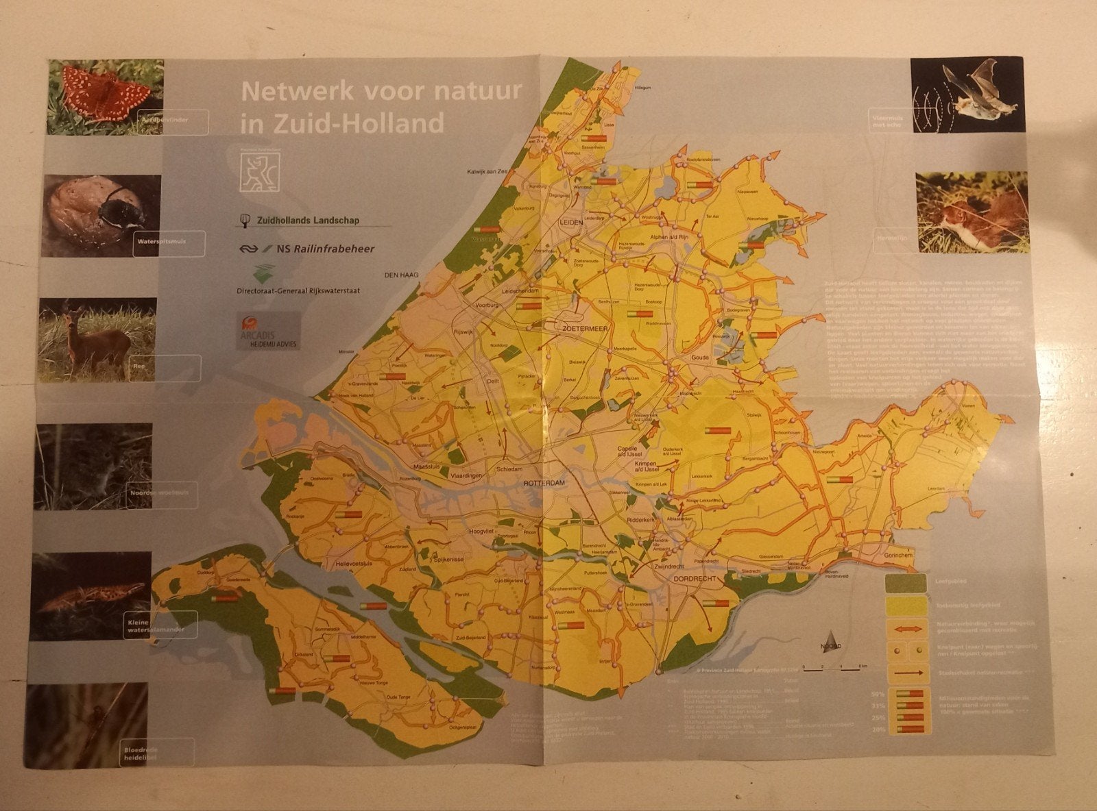 natuurbeleids kaart NS railinfrabeheer, Verzamelen, Spoorwegen en Tramwegen, Ophalen, Zo goed als nieuw, Trein, Kaart of Prent