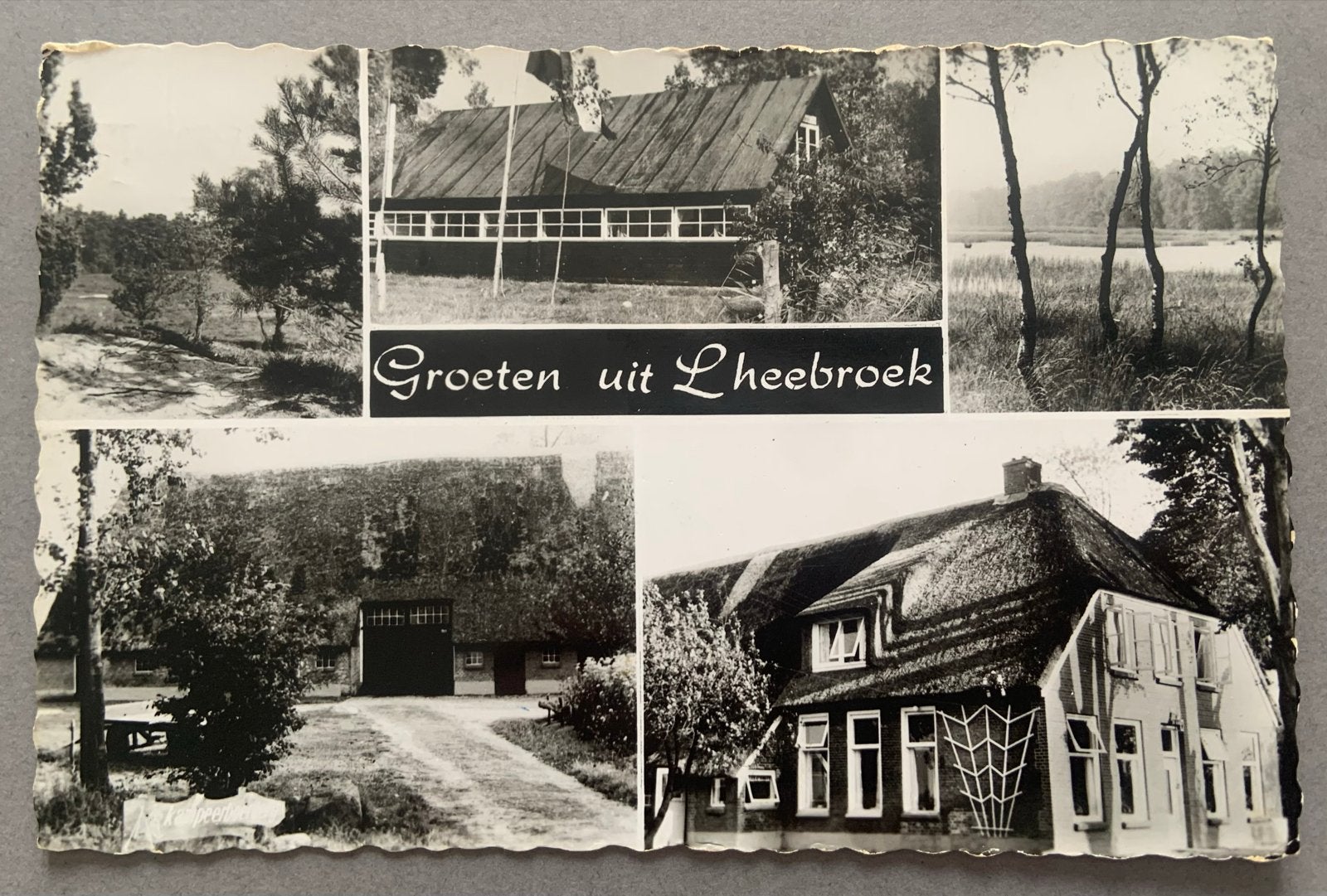 Kampeerboerderij F. Klaassen. Lheehoek (Dwingeloo), Verzenden, 1940 tot 1960, Gelopen, Drenthe