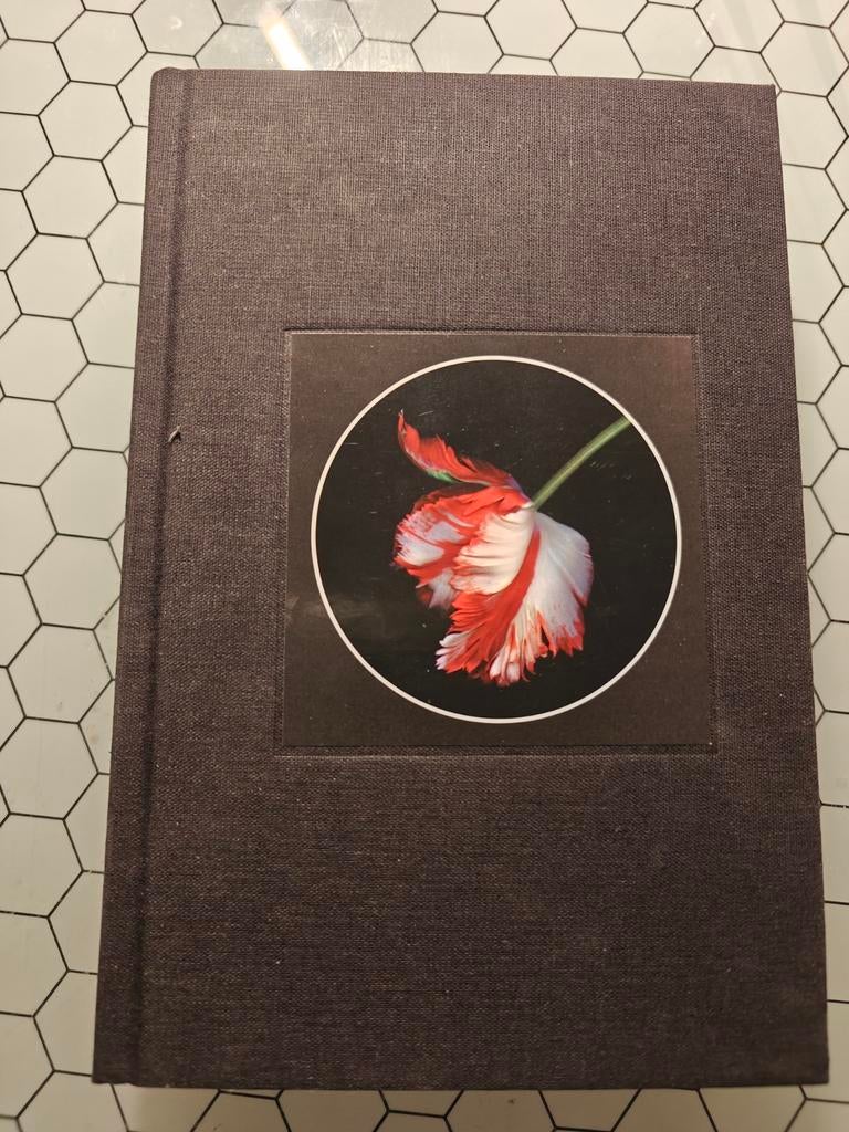 Nieuwe Maan - Stephenie Meyer (Twilight Saga Boek 2), Ophalen of Verzenden, Gelezen, Stephenie Meyer, Nederland