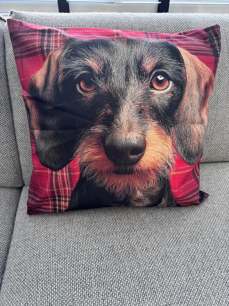 Teckel Kussenhoes rood 45x45cm - Superzacht & Dubbelzijdig, Ophalen of Verzenden, Nieuw, Overige kleuren, Vierkant