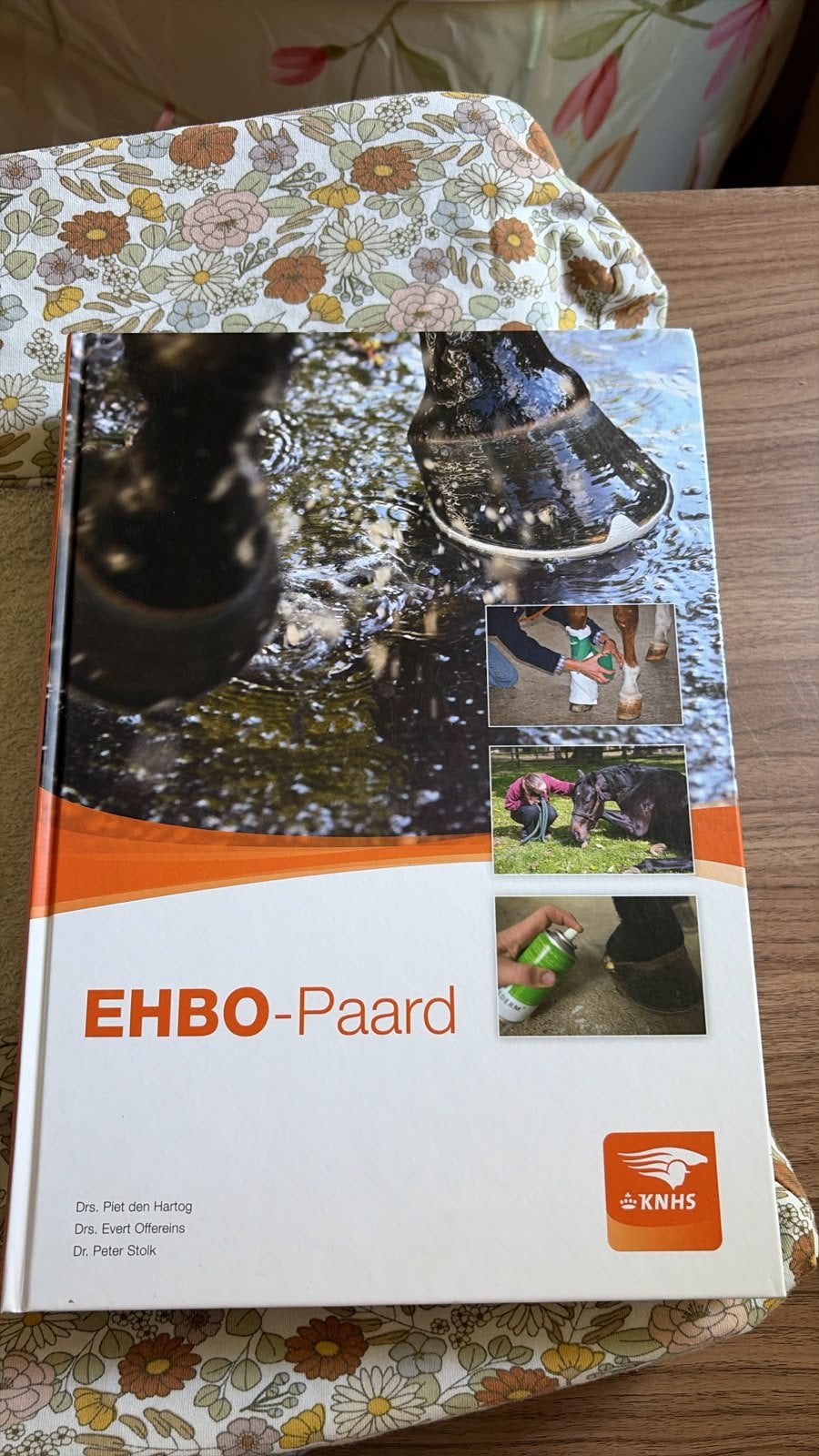 EHBO paard, Ophalen of Verzenden, Beta, Zo goed als nieuw