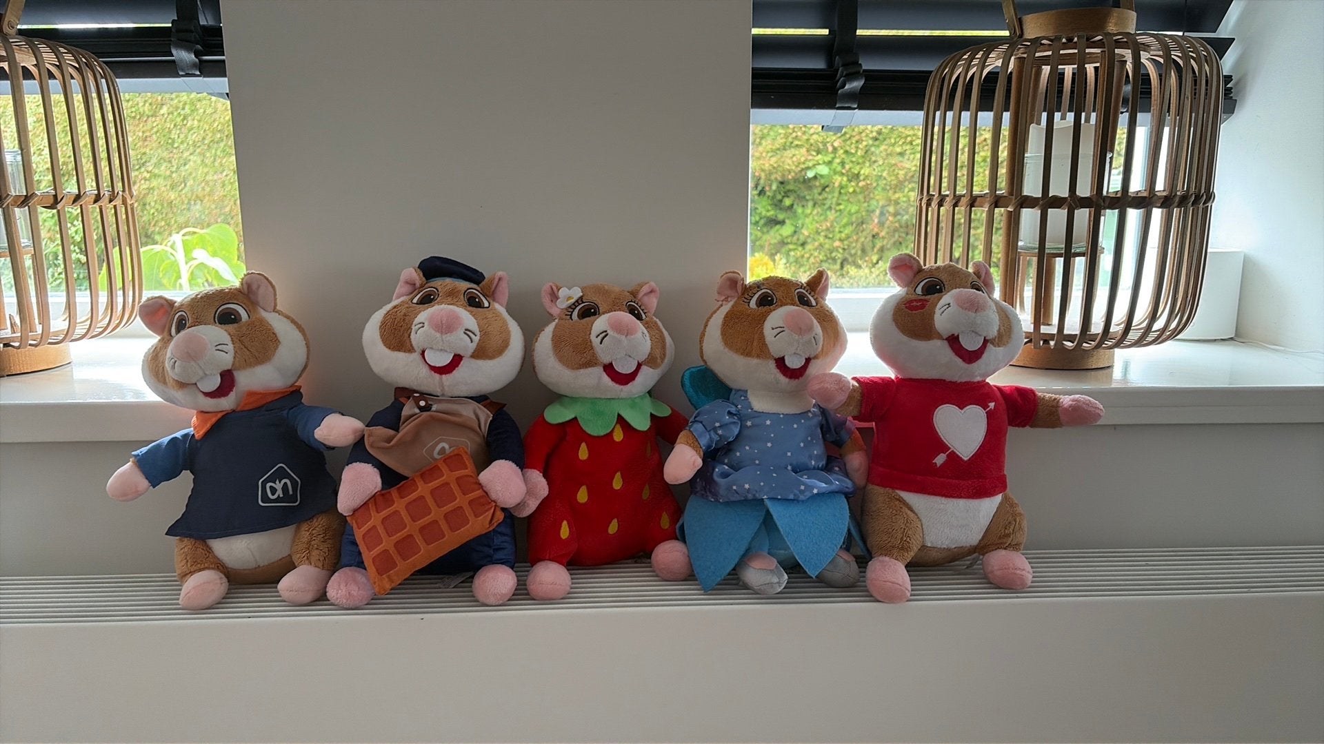 AH hamsters, Ophalen of Verzenden, Zo goed als nieuw, Overige typen