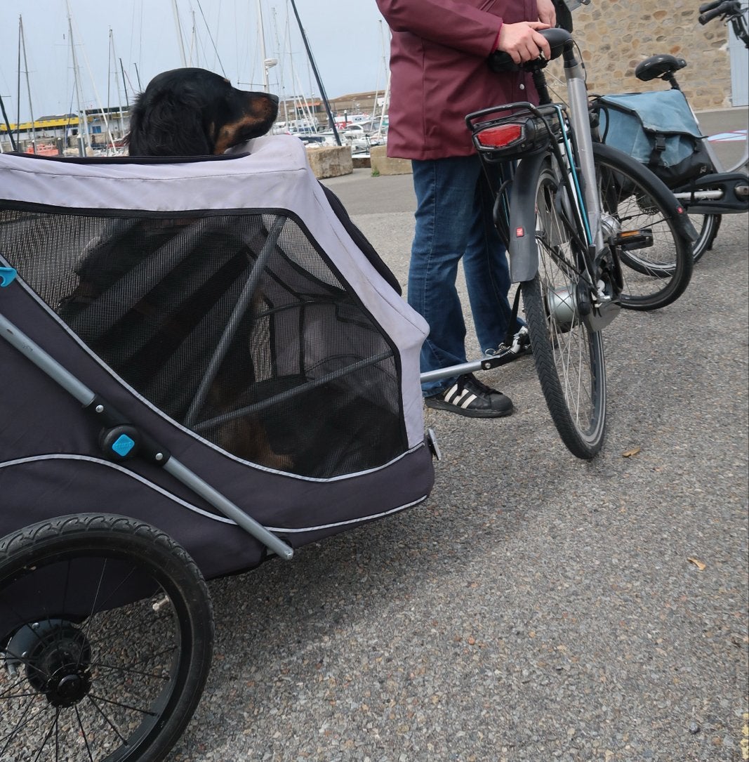 Trixie Hondenfietskar Opvouwbaar L+Wandelset+Extra koppeling, Ophalen, Gebruikt