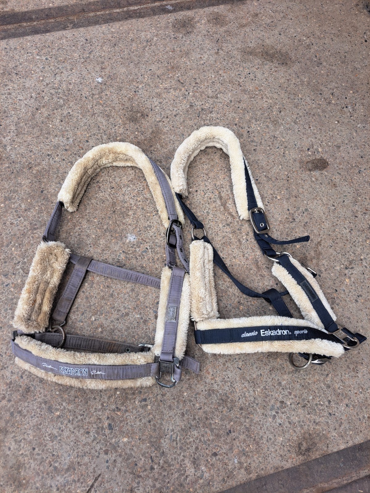 Eskadron halsters, Dieren en Toebehoren, Ophalen of Verzenden, Eskadron, Full