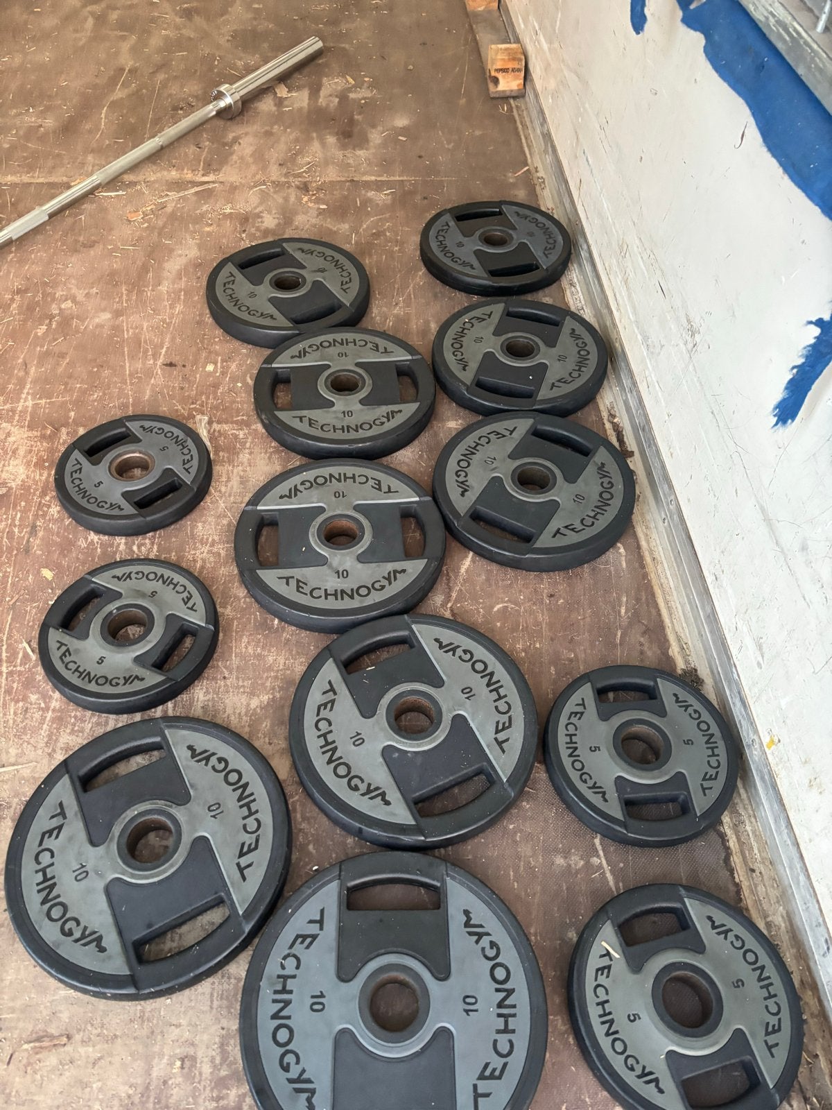 100 kg Technogym Olympische Halterschijven