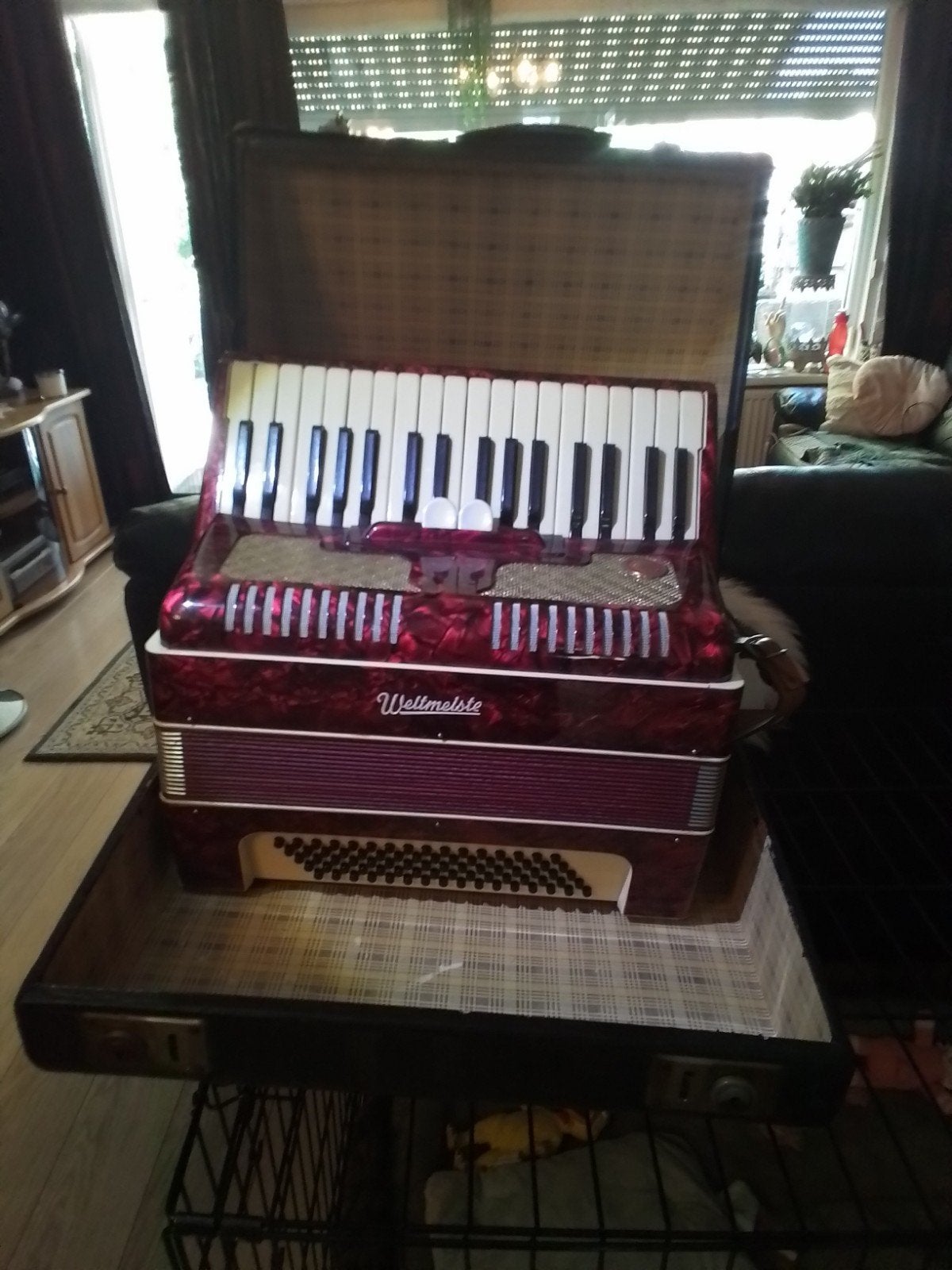 Weltmeister Accordeon met prachtig geluid en koffer, Gebruikt, Overige formaten, Met koffer, Weltmeister