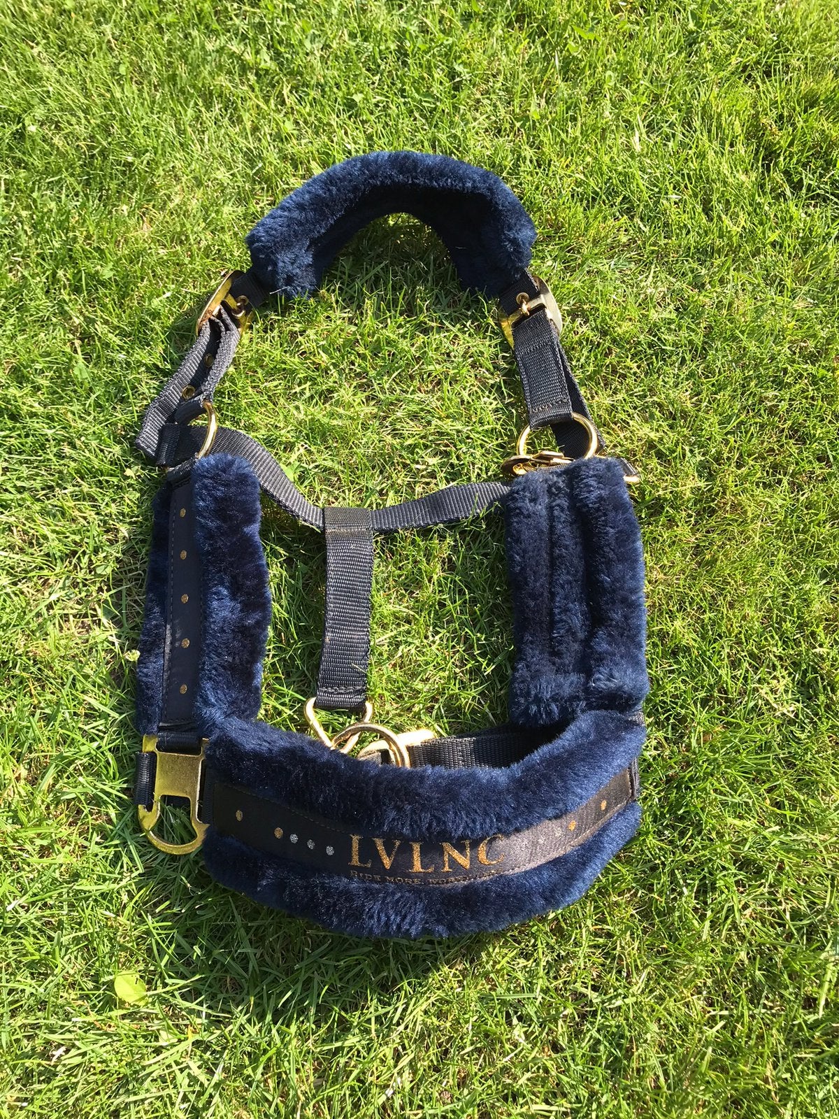 Nieuw LVLNC halster in Navy Blauw, Ophalen of Verzenden, Nieuw
