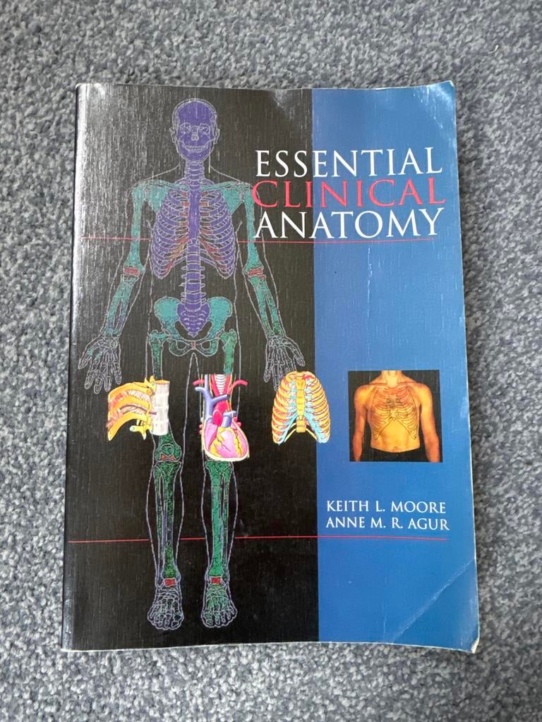 Essential Clinical Anatomy - Keith L. Moore, Ophalen of Verzenden, Beta, Gelezen, WO