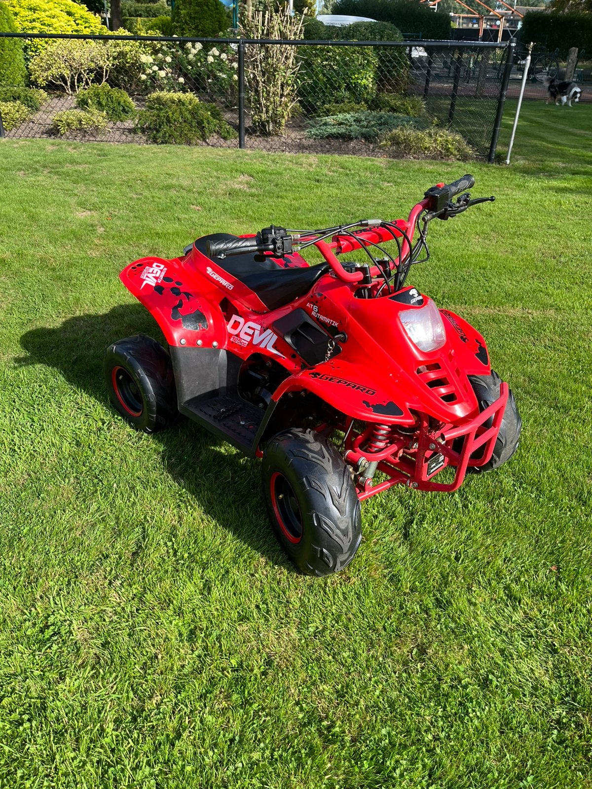 Devil Quad 125 cc, Fietsen en Brommers, Minibikes, Midibikes en Pitbikes, Ophalen, Zo goed als nieuw, Pitbike