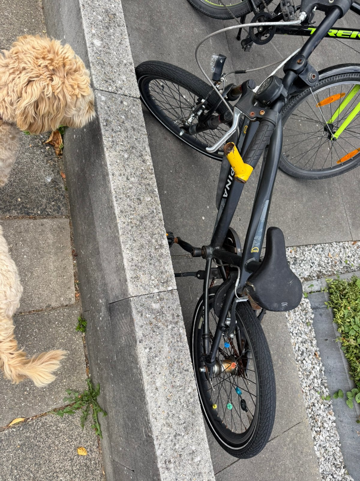 Kinderfiets alpina, Ophalen of Verzenden, Gebruikt, 20 inch of meer