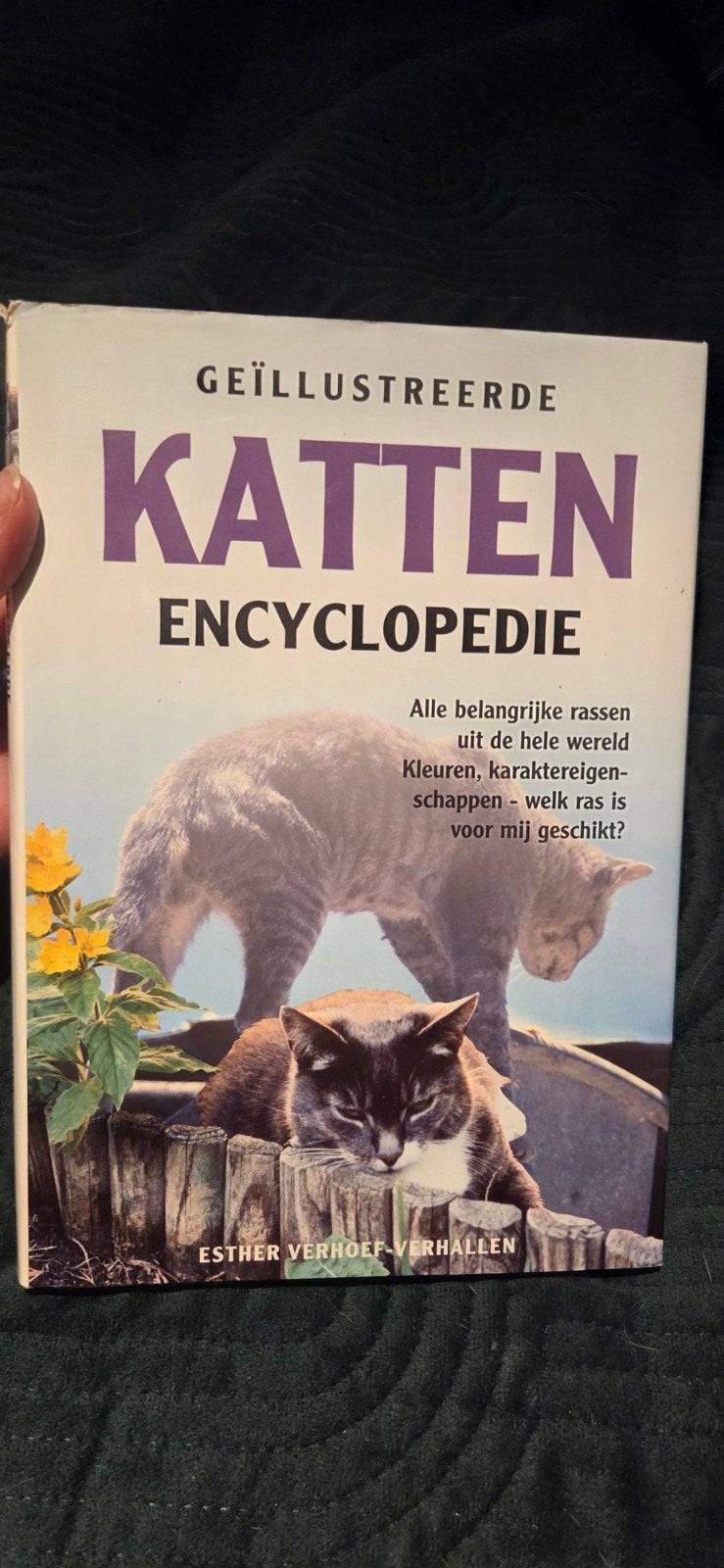 E.J.J. Verhoef-Verhallen - Katten encyclopedie, Boeken, Dieren en Huisdieren, E.J.J. Verhoef-Verhallen, Ophalen of Verzenden, Zo goed als nieuw