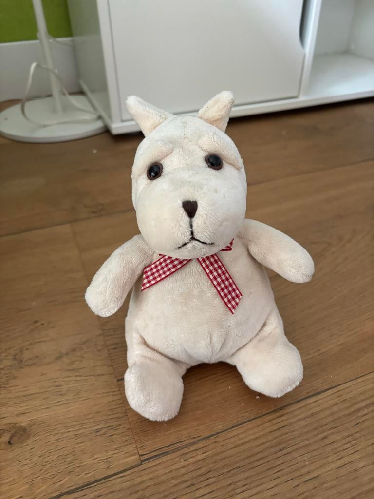 Leuke spaarpot hondje met geluid - Perfect cadeau!, Ophalen of Verzenden, Gebruikt, Overige materialen, Dier