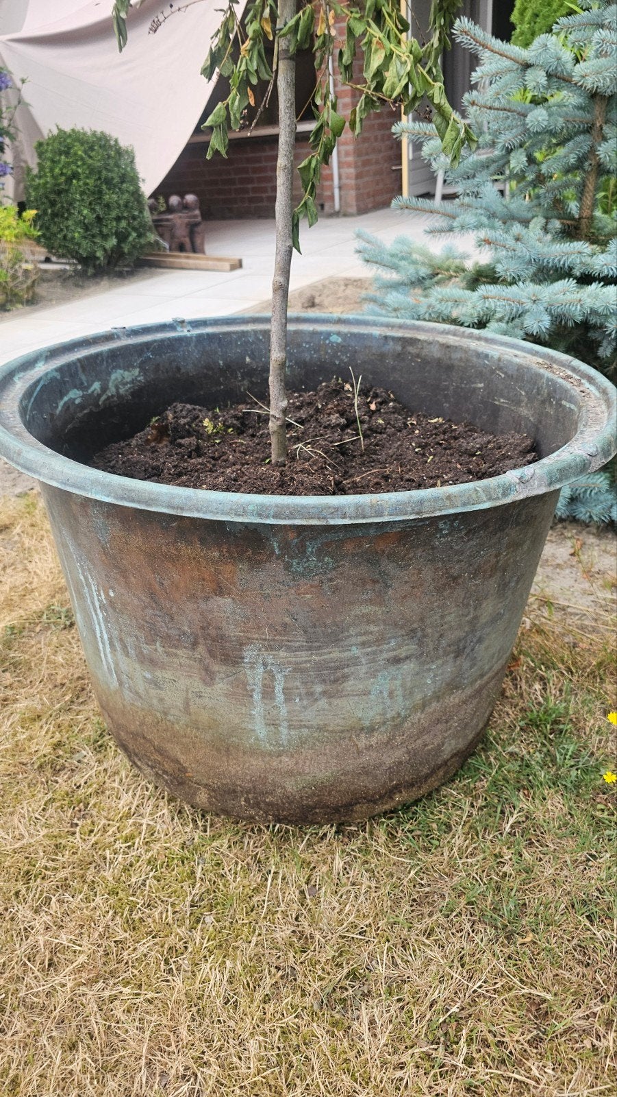grote, antieke koperen / koper ketel waskuip pot pan planten, Minder dan 30 cm, Rond, Ophalen of Verzenden, Zo goed als nieuw