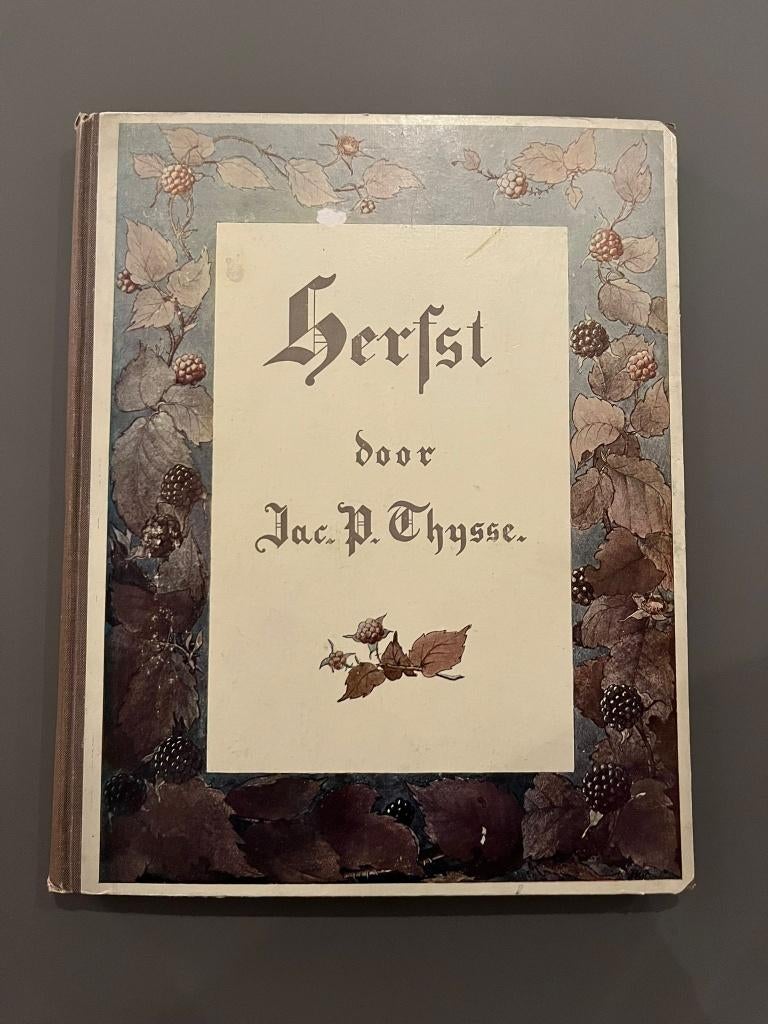 Album Herfst (origineel) + boek Vogelzang (herdruk) Thijsse, Ophalen of Verzenden, Zo goed als nieuw, Natuur algemeen, Jac. P. Thijsse