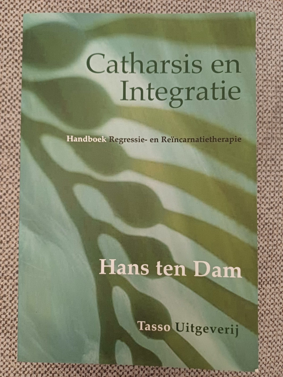 Hans ten Dam - Catharsis en Integratie, Boeken, Hans ten Dam, Ophalen of Verzenden, Ontwikkelingspsychologie, Zo goed als nieuw