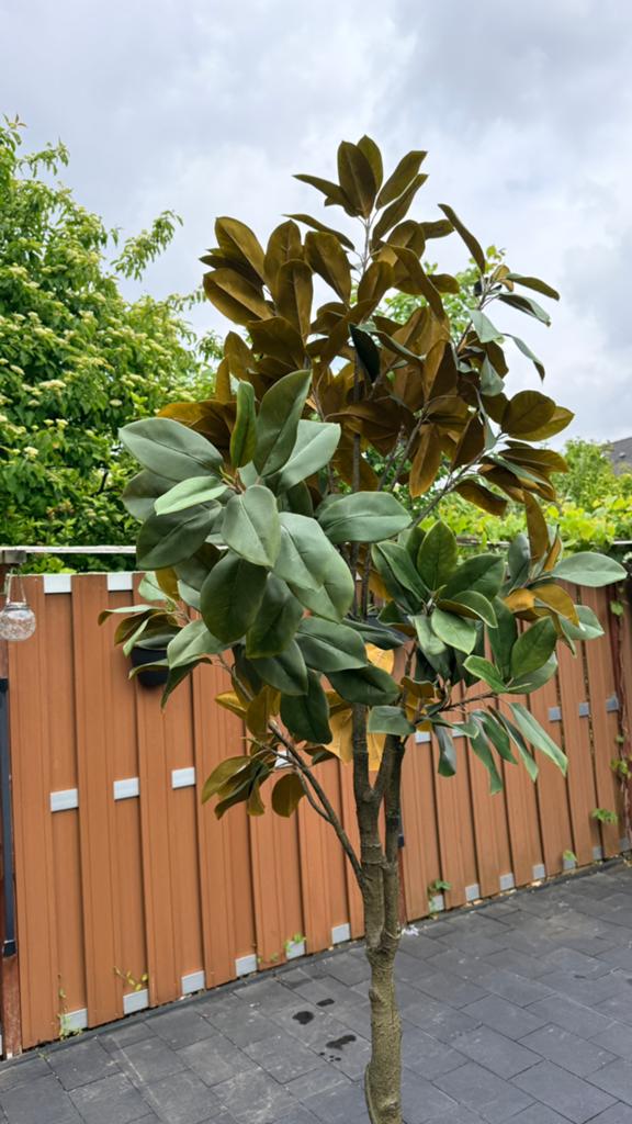 Kunststof plant met pot, Volle zon, Bloeit niet, Ophalen of Verzenden, 100 tot 250 cm