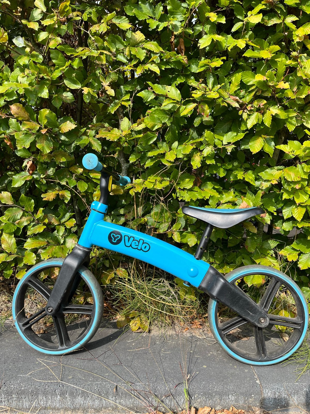 Loopfiets Yvolution Y Velo Senior Blauw, Ophalen, Gebruikt, Minder dan 16 inch