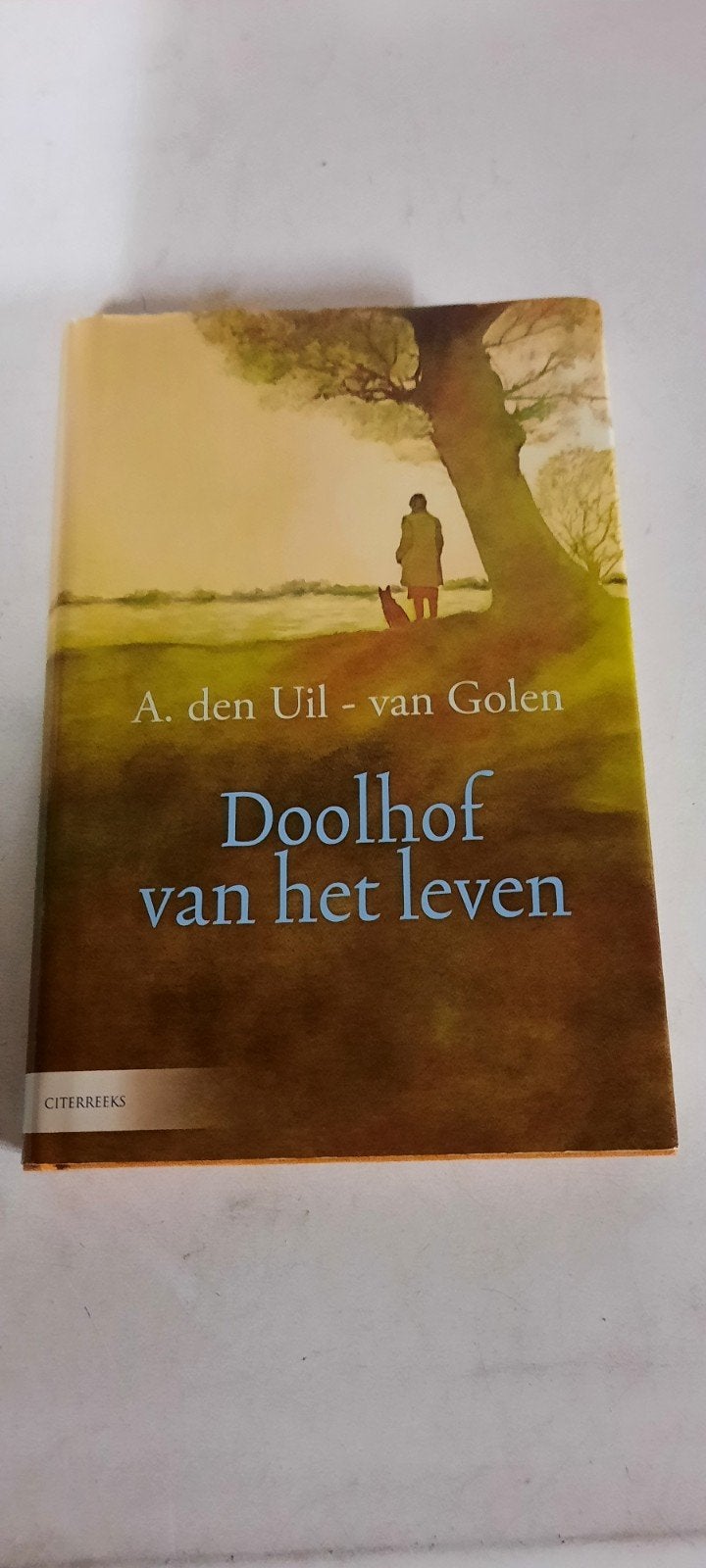 A. den Uil-van Golen - Doolhof van het leven, Noord-Brabant, Ophalen of Verzenden, Zo goed als nieuw, A. den Uil-van Golen