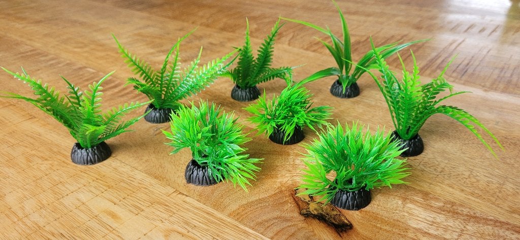 Nieuw! waterplanten waterplantjes plantjes voor aquarium, Ophalen of Verzenden, Nieuw, Plant(en), Steen of Hout