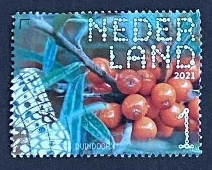 2021 Beleefdenatuur duindoorn, Ophalen of Verzenden, Na 1940, Gestempeld