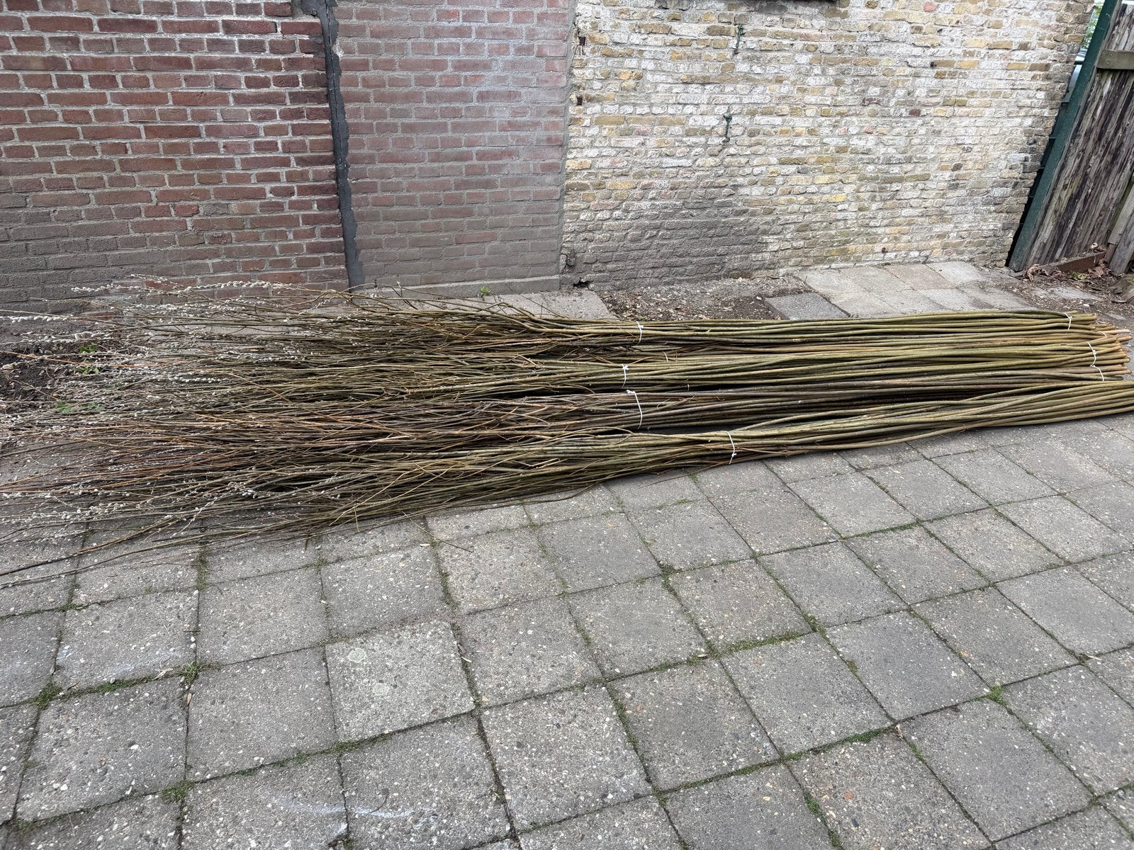 Wilgentakken - Vlechtwilgen dun1-2cm / 25 takken per bos/ 4m, Tuin en Terras, Ophalen, Nieuw, Hout, 3 tot 6 meter