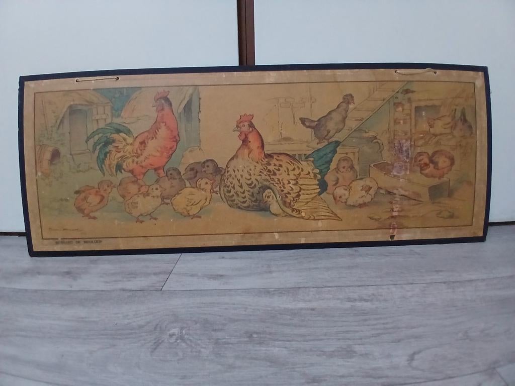 Antieke schoolplaten, Ophalen of Verzenden