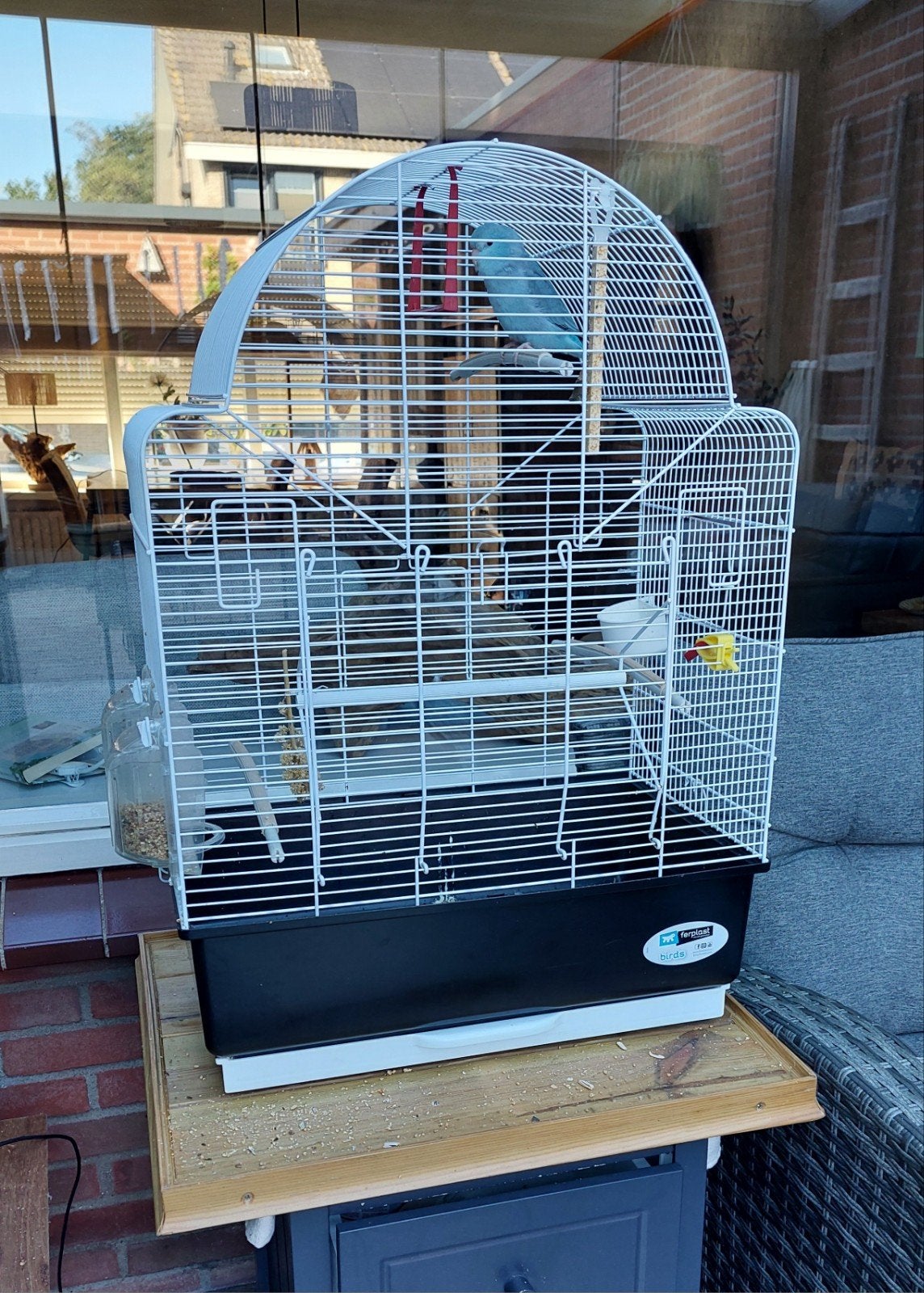 vogelkooi + forpus, Ophalen, Zo goed als nieuw, Metaal, Vogelkooi