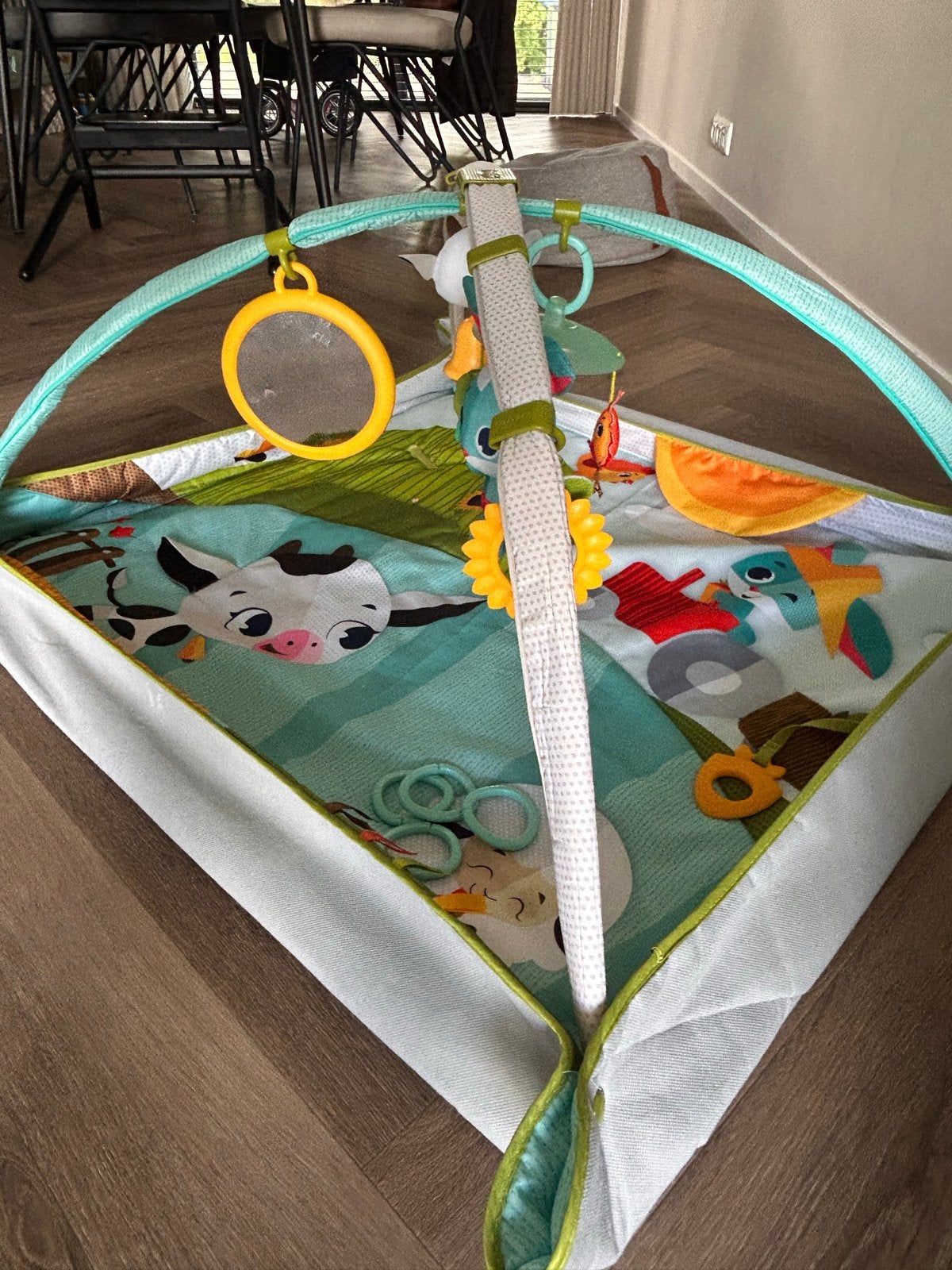 Tiny Love Speelkleed met speelbogen en speeltjes, Ophalen, Gebruikt, Speelkleed, Met geluid
