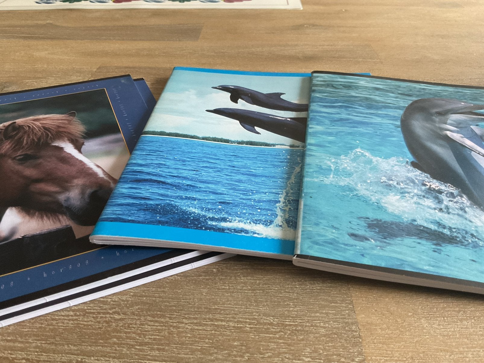 Schriften, Diversen, Ophalen of Verzenden, Nieuw