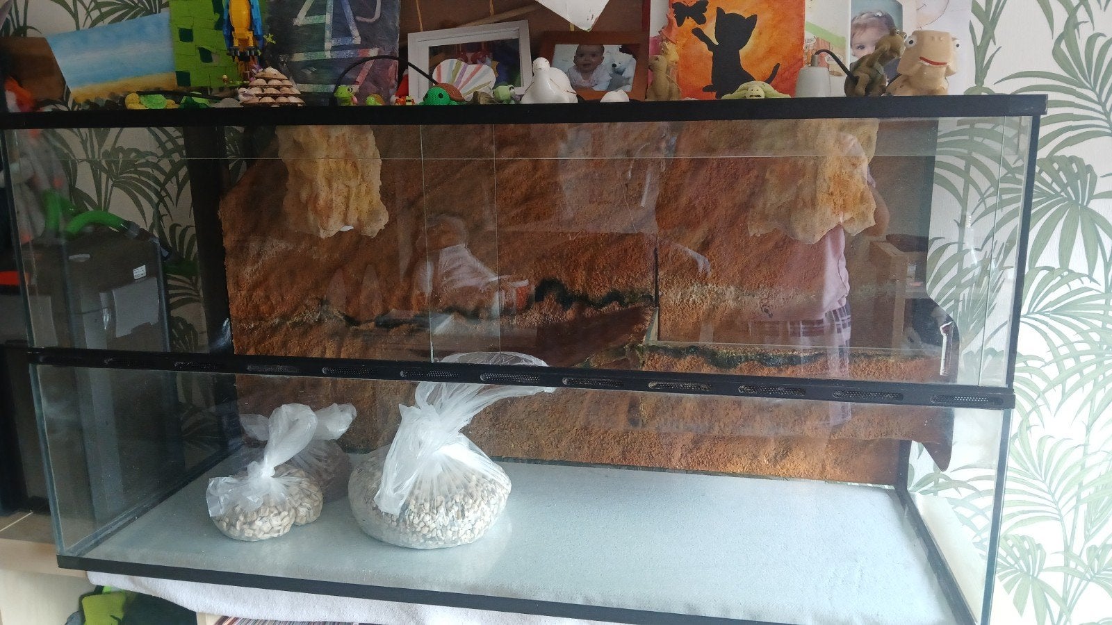 Terrarium 120x62x50, Ophalen, Zo goed als nieuw
