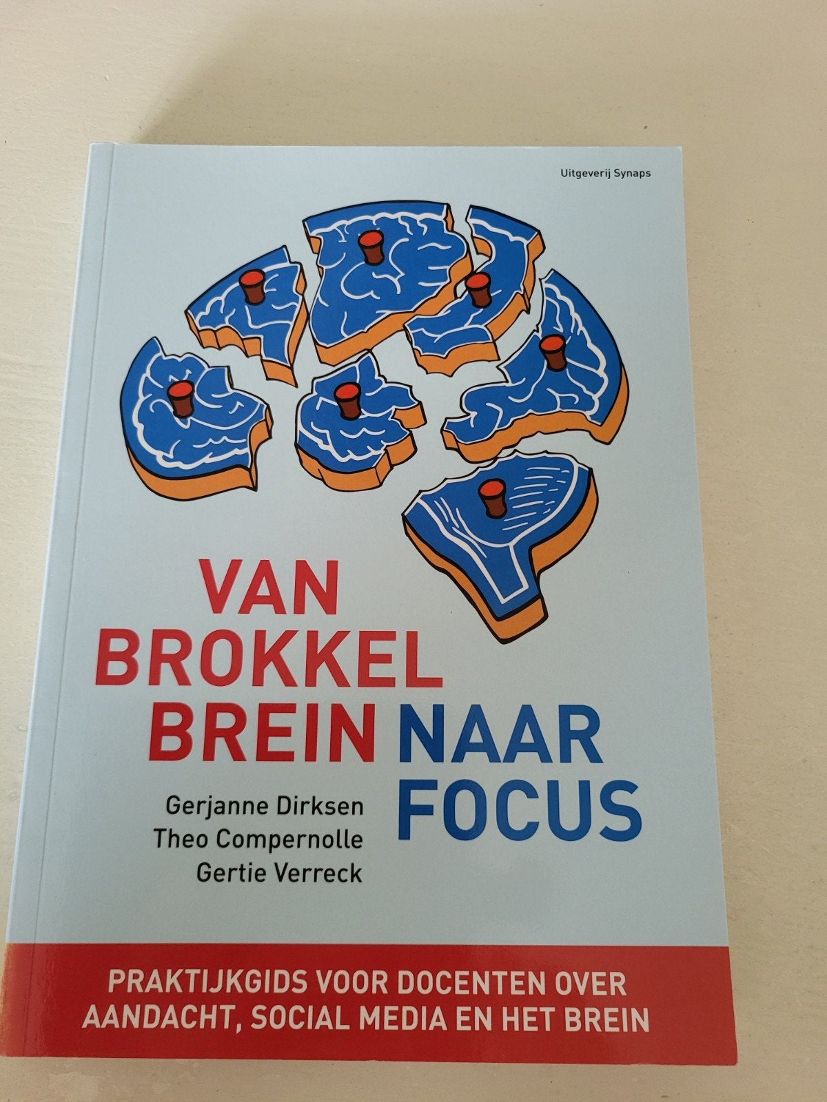 Van Brokkelbrein naar Focus - Praktijkgids voor docenten, Boeken, Gerjanne Dirksen, Theo Compernolle, Gertie Verreck, Ophalen of Verzenden