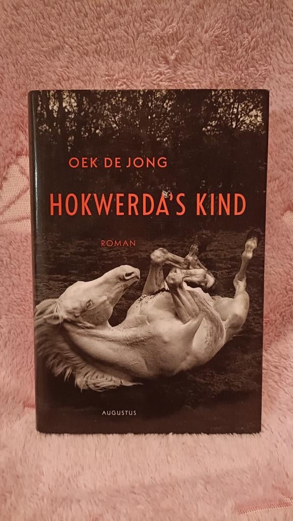 Jong, Oek de - Hokwerda's kind, Boeken, Ophalen of Verzenden, Zo goed als nieuw, Oek de Jong, Nederland