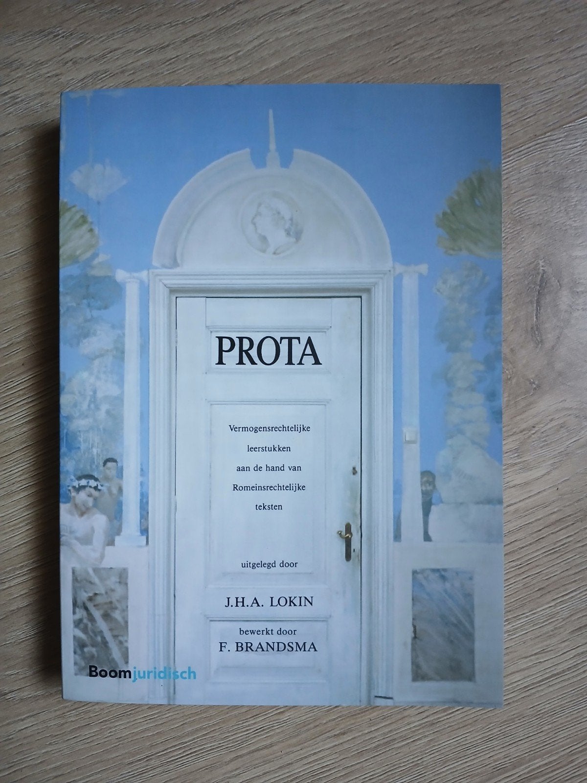 PROTA: Vermogensrechtelijke leerstukken Romeins recht, Boeken, Nieuw, Ophalen of Verzenden, Gamma, J.H.A. Lokin, F. Brandsma