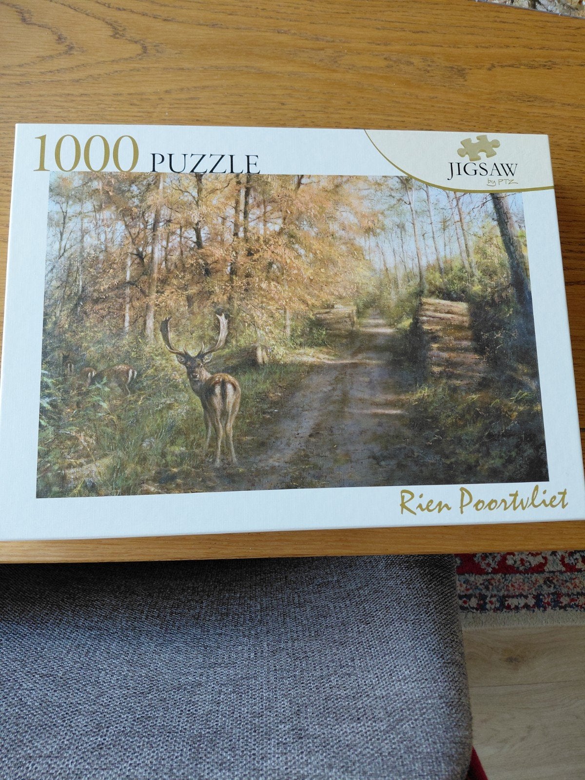 rien poortvliet 1000 stukjes, Hobby en Vrije tijd, Ophalen, 500 t/m 1500 stukjes, Zo goed als nieuw