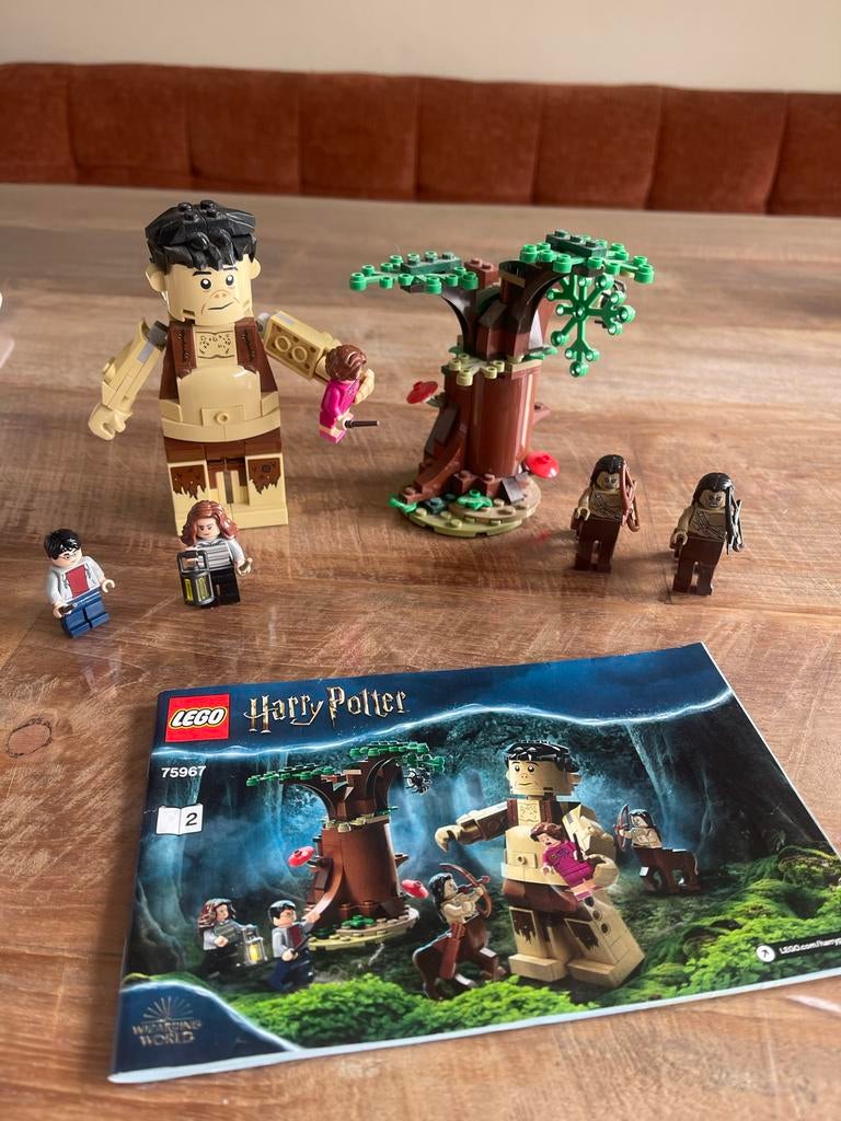 Lego Harry Potter 75967 Het Verboden Bos, Gebruikt, Lego, Harry Potter, Ophalen of Verzenden