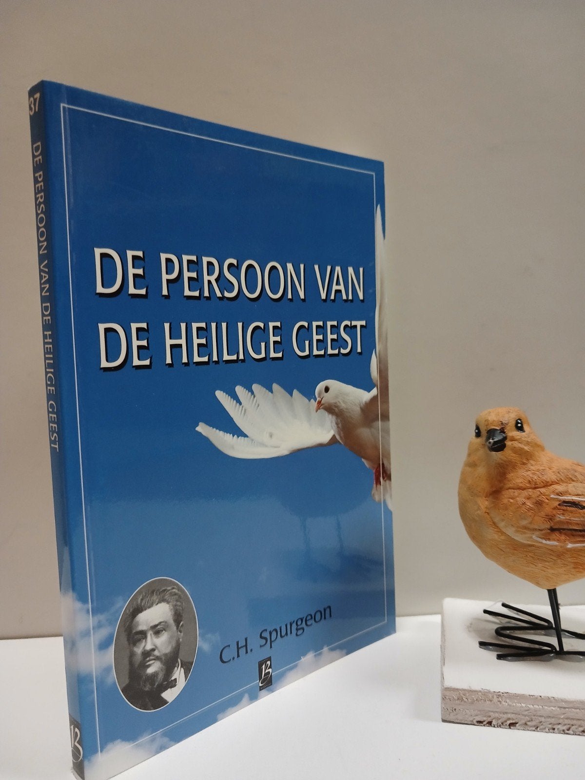 Spurgeon, C.H.; De Persoon van de Heilige Geest:  nr 37, Ophalen of Verzenden, Gelezen, Christendom | Protestants
