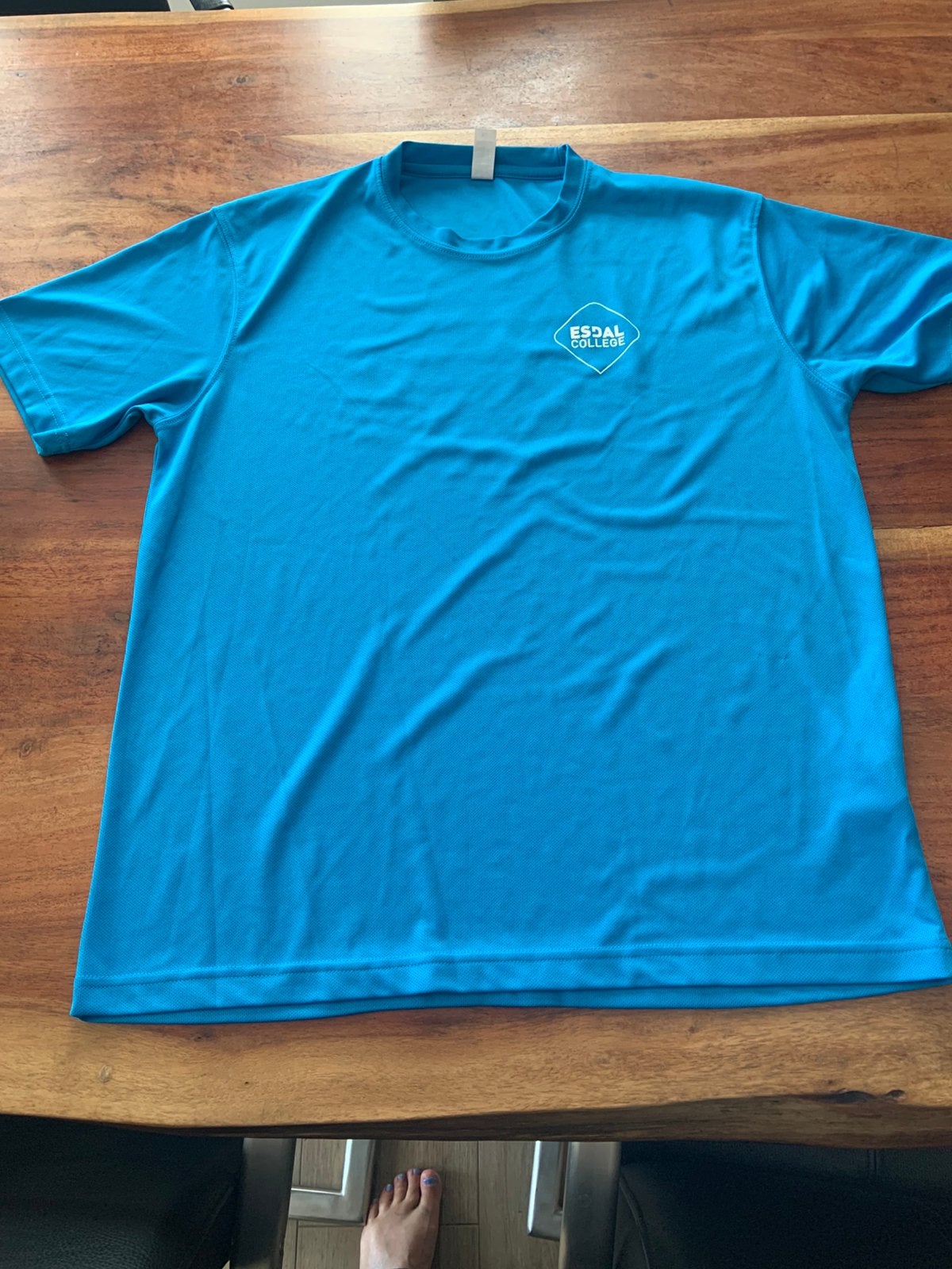 Esdal college sportshirt maat L ,gymshirt, loshirt, Kleding | Heren, Ophalen, Blauw, Overige maten, Zo goed als nieuw