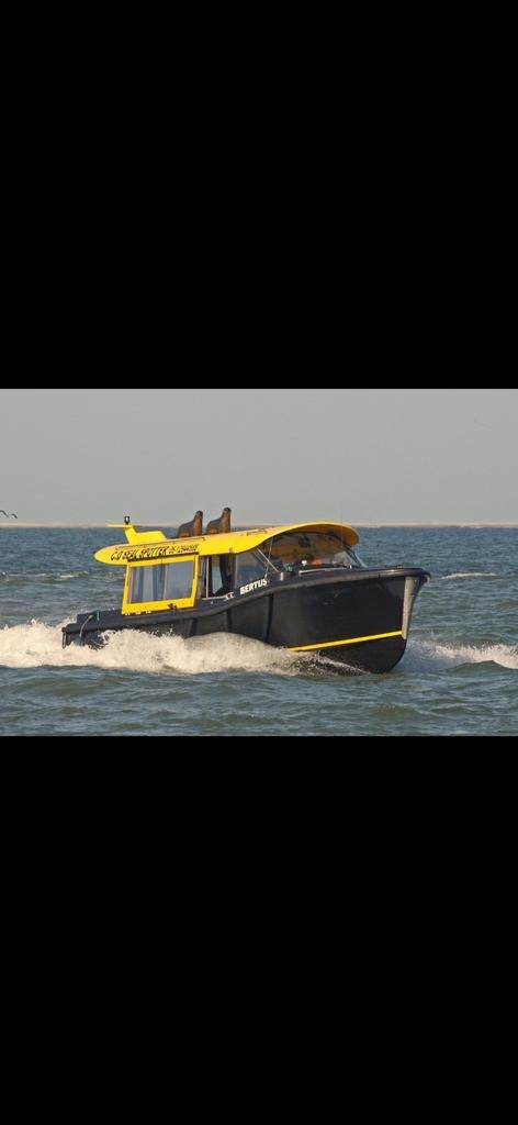 Vaartochten zeehonden Den Helder, Tickets en Kaartjes, Ticket of Toegangskaart