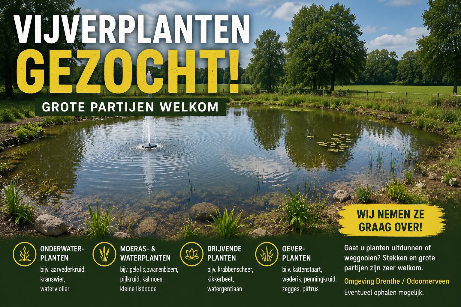 Gezocht: vijverplanten / oeverplanten voor natuurvijver, Ophalen, Vijverplanten, Volle zon