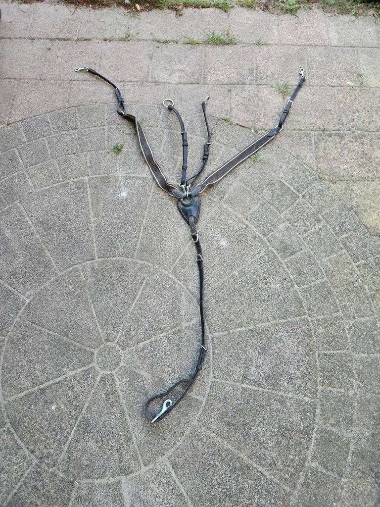 Martingaal martin gaal, Ophalen