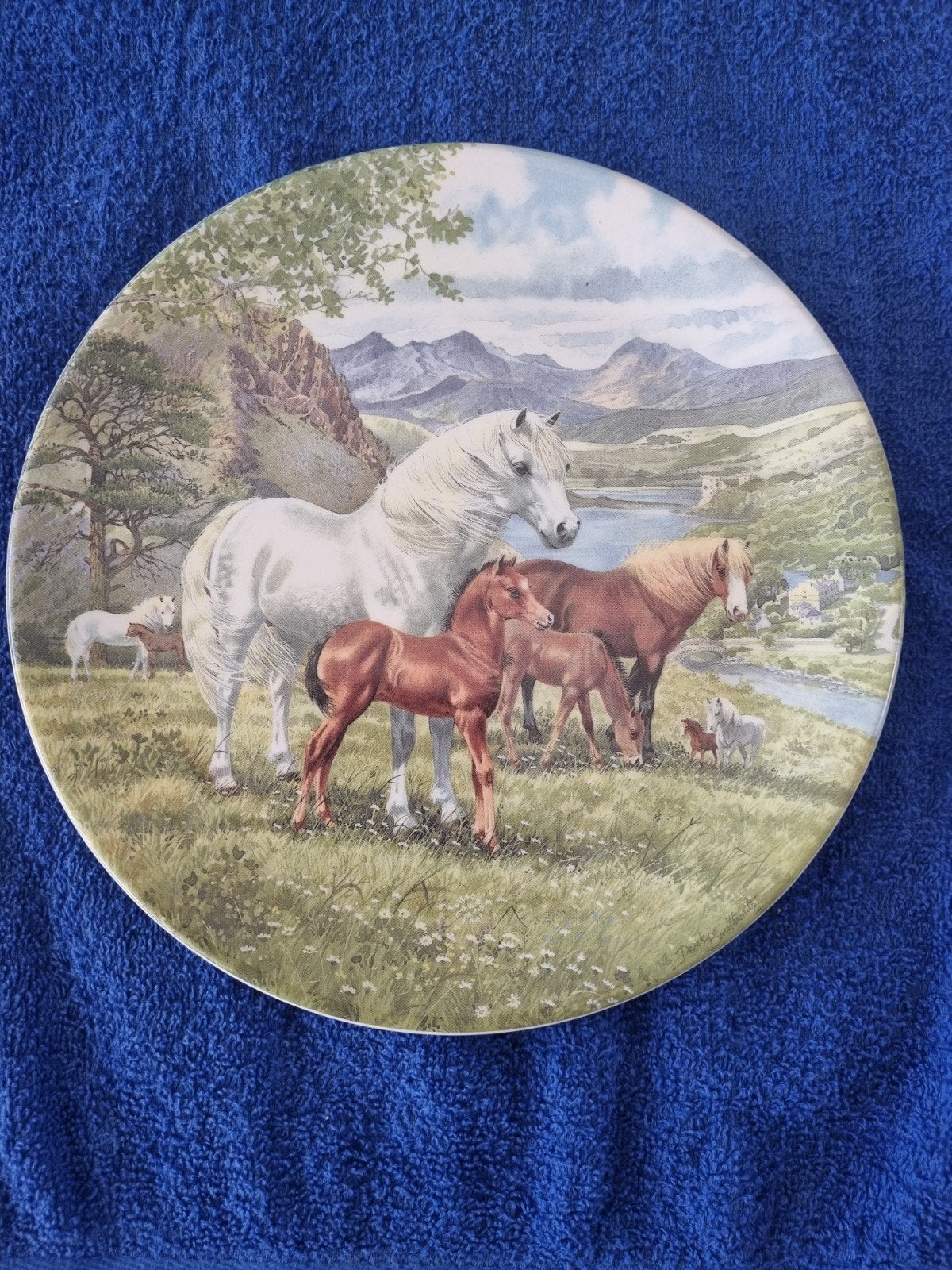 Davenport Limited Edition Welsh Mountain Ponies Bord, Ophalen of Verzenden