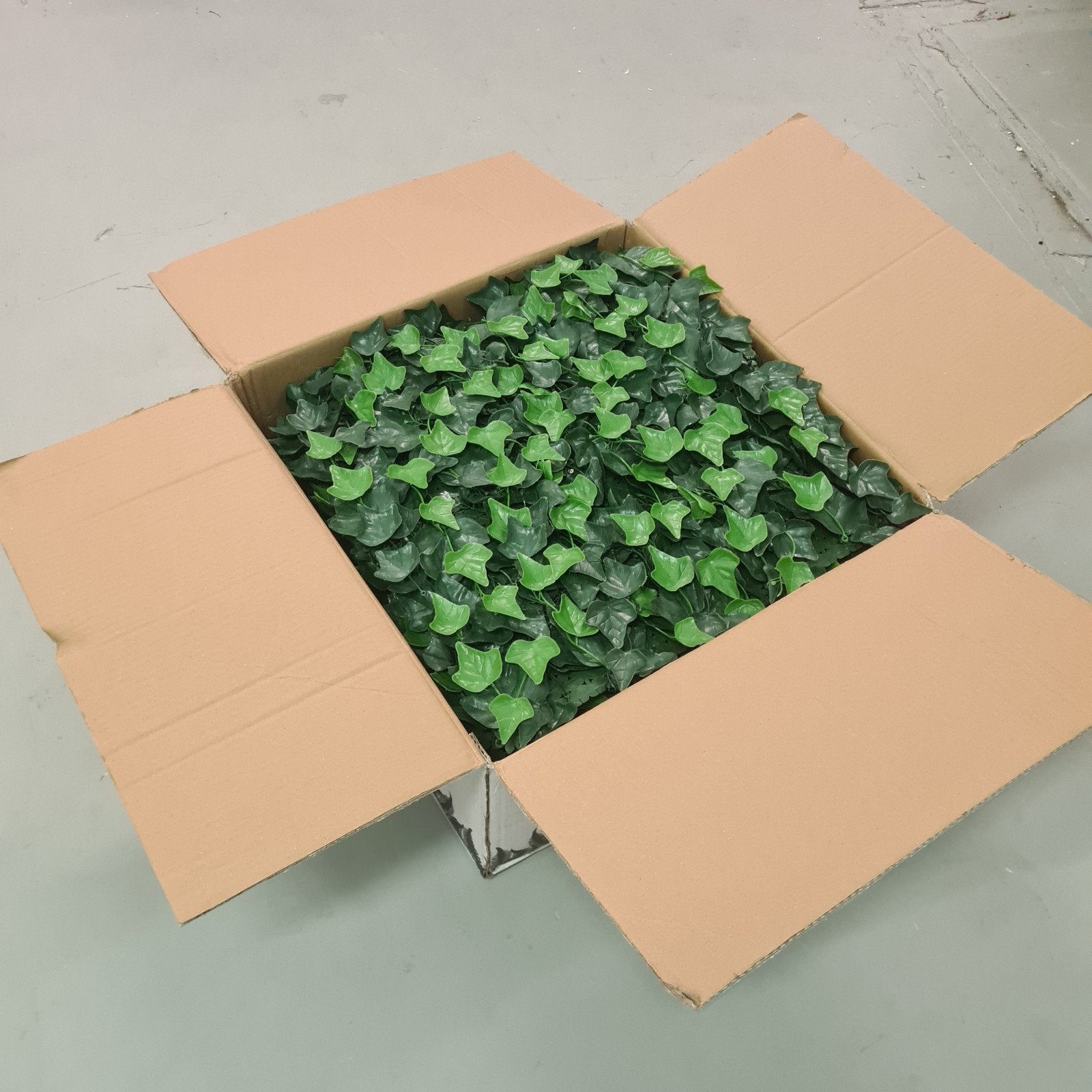 Hedera Kunsthaag - Premium Kwaliteit 50x50 12x, Ophalen of Verzenden, Bloeit niet, Klimplanten