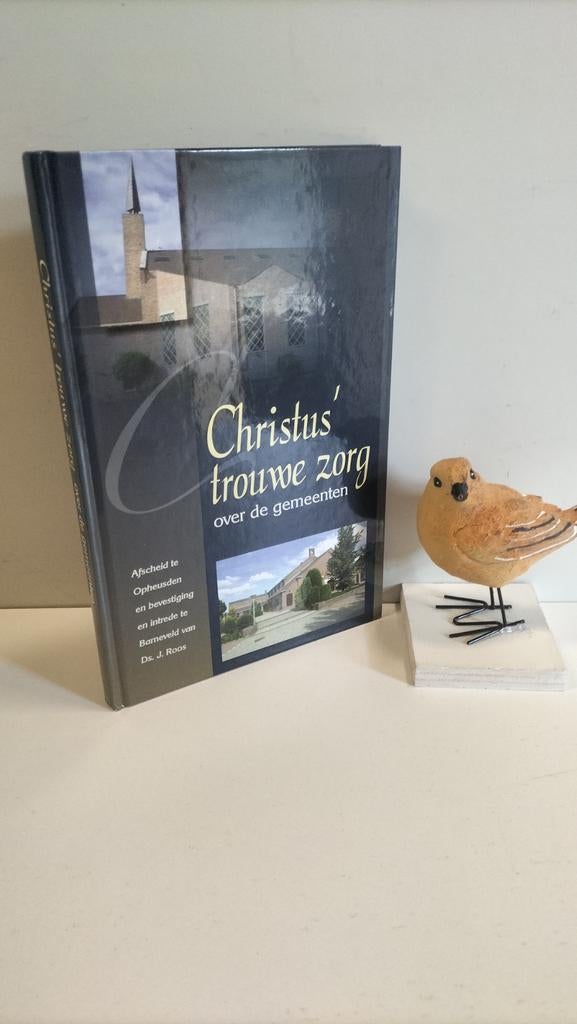 Roos, Ds. J.; Christus’ trouwe zorg, Ophalen of Verzenden, Gelezen, Christendom | Protestants