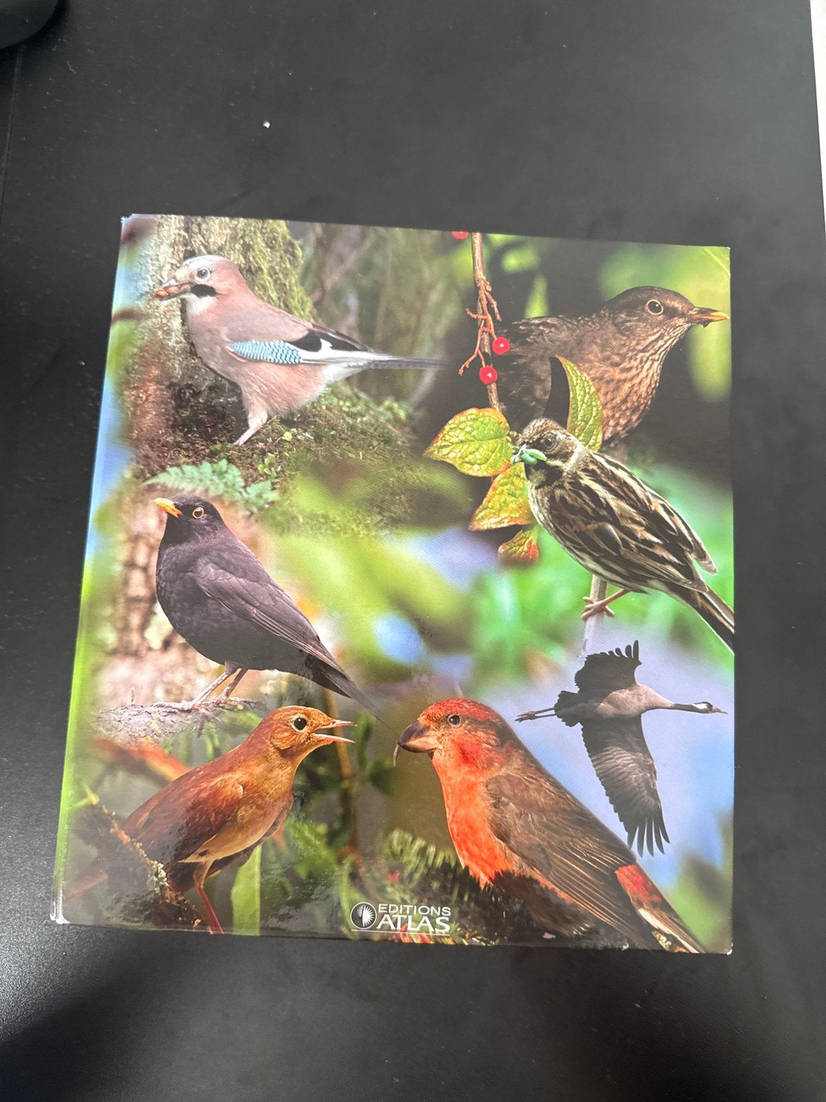 Vogels van onze streken - Editions Atlas (Compleet), Ophalen of Verzenden, Gelezen, Vogels