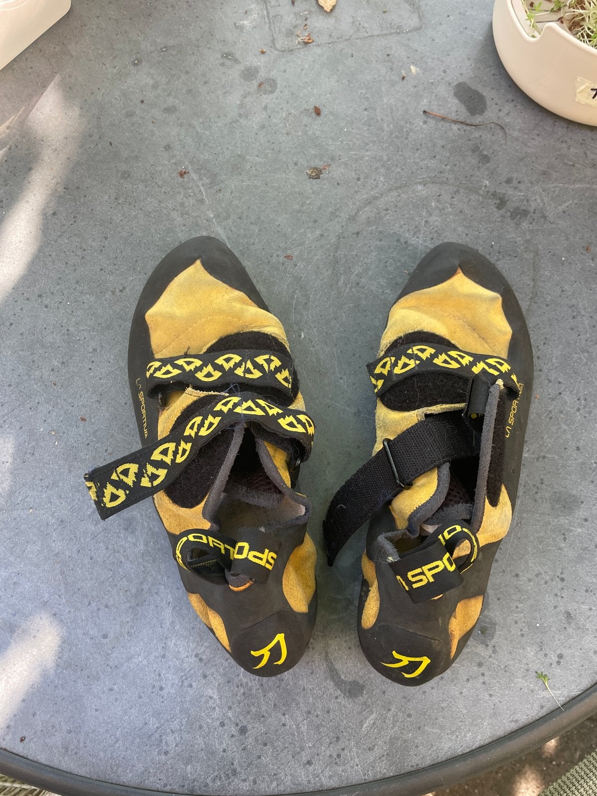 Prima La Sportiva klimschoenen maat 43, Ophalen of Verzenden, Gebruikt
