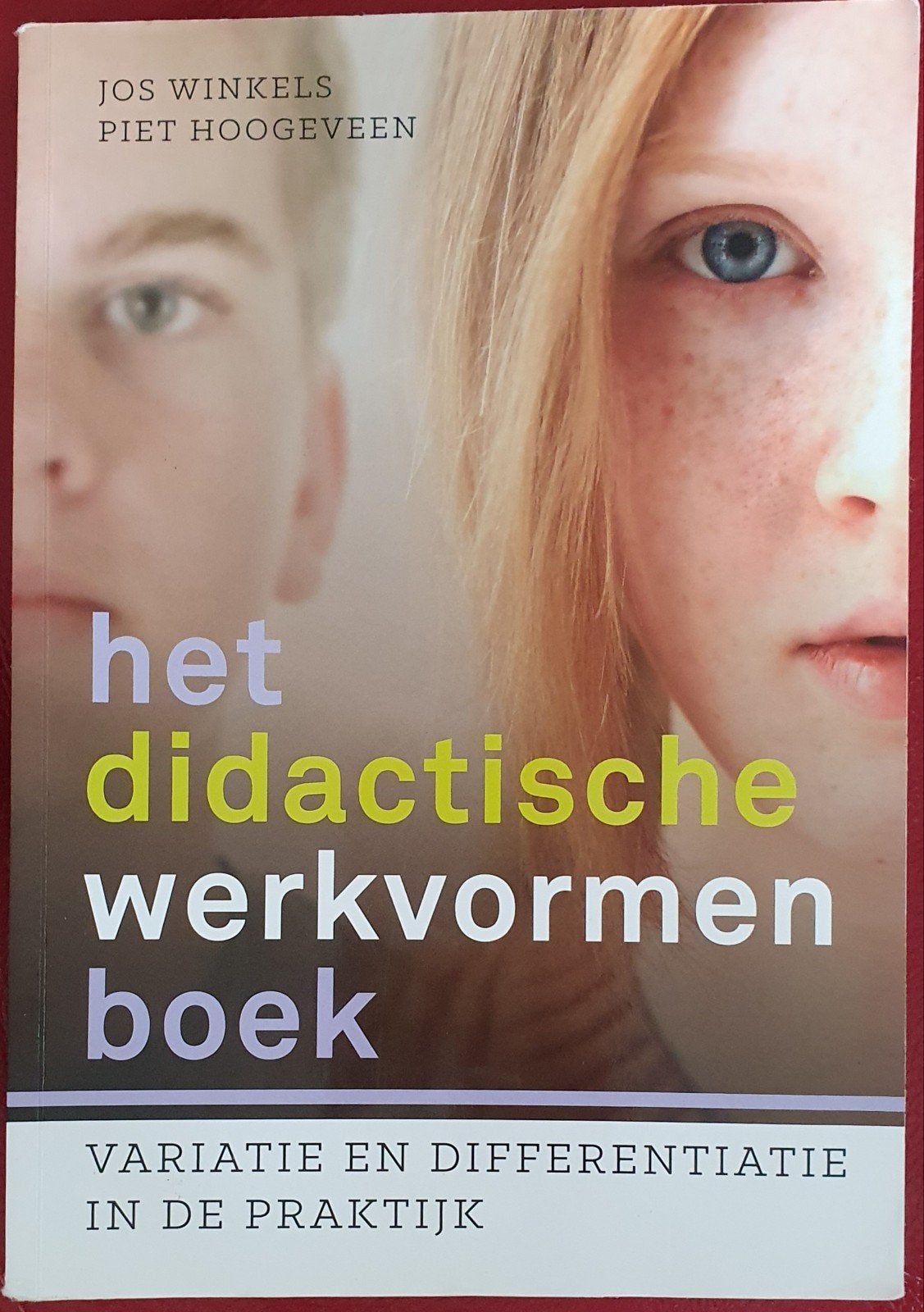 Het didactische werkvormenboek - Jos Winkels, Piet Hoogeveen, Boeken, Studieboeken en Cursussen, Zo goed als nieuw, Jos Winkels, Piet Hoogeveen
